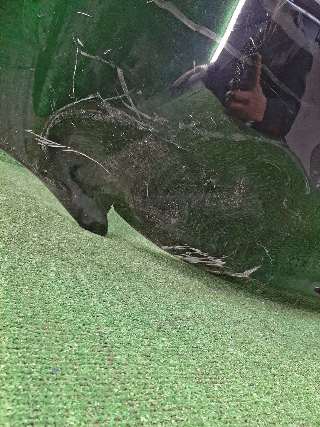 Бампер задний MITSUBISHI LANCER, GALANT FORTIS CY4A, CY2A, CY3A, CY6A 77913 3 ракурс