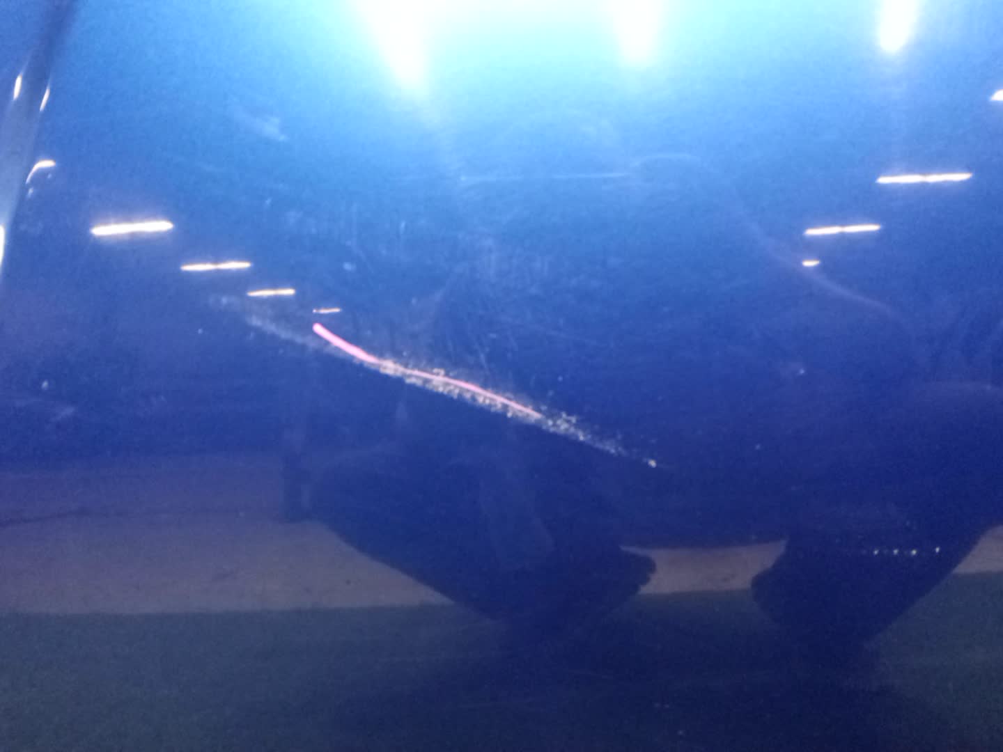 Капот SUZUKI DELICA D:2, SOLIO MB15S, MA15S 56236 4 ракурс Капот SUZUKI DELICA D:2, SOLIO MB15S, MA15S 56236 4 ракурс