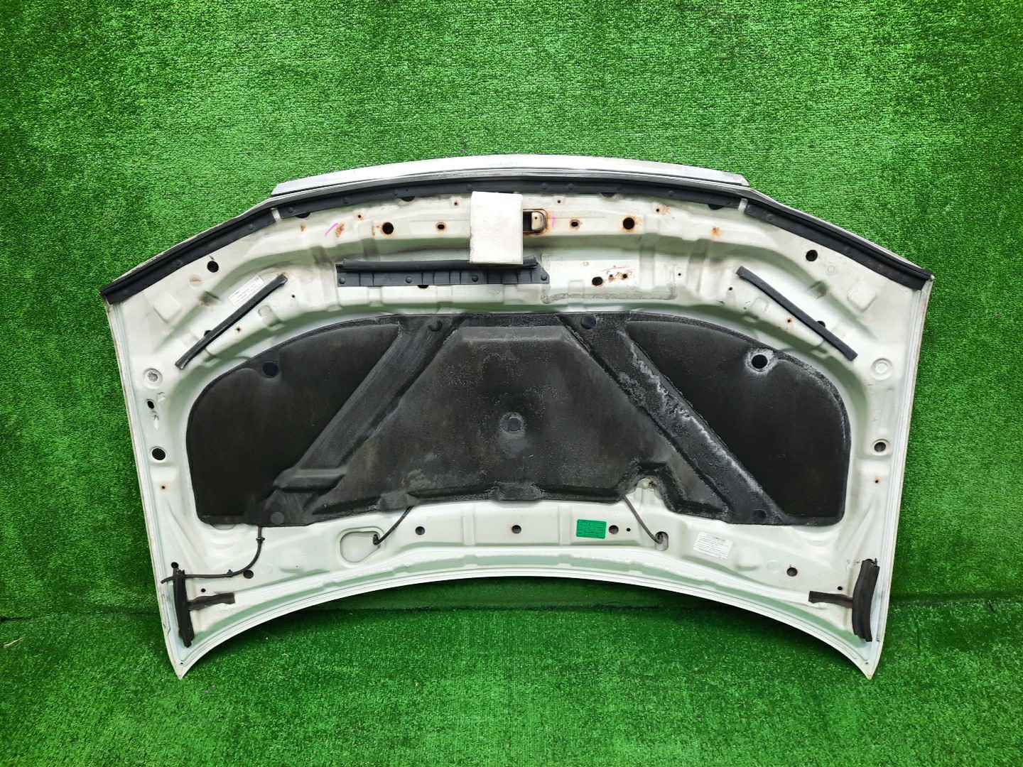 Капот NISSAN PRESAGE U30, NU30, TU30, TNU30, HU30, VNU30, VU30 4479 5 ракурс
