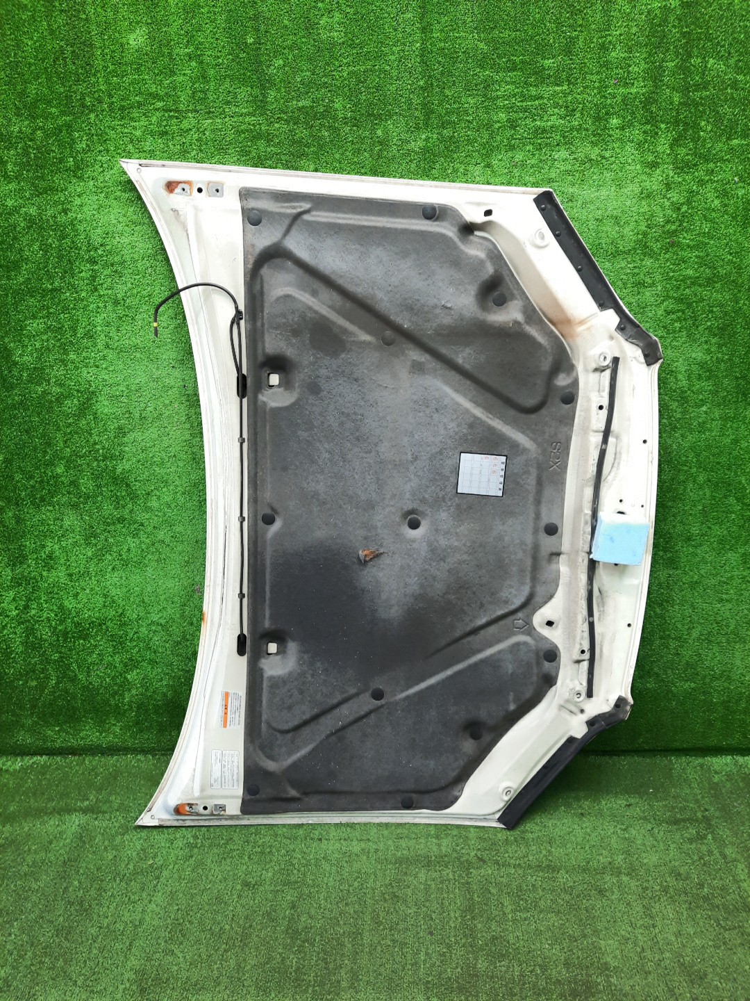 Капот HONDA AVANCIER TA1, TA3, TA2, TA4 5575 2 ракурс