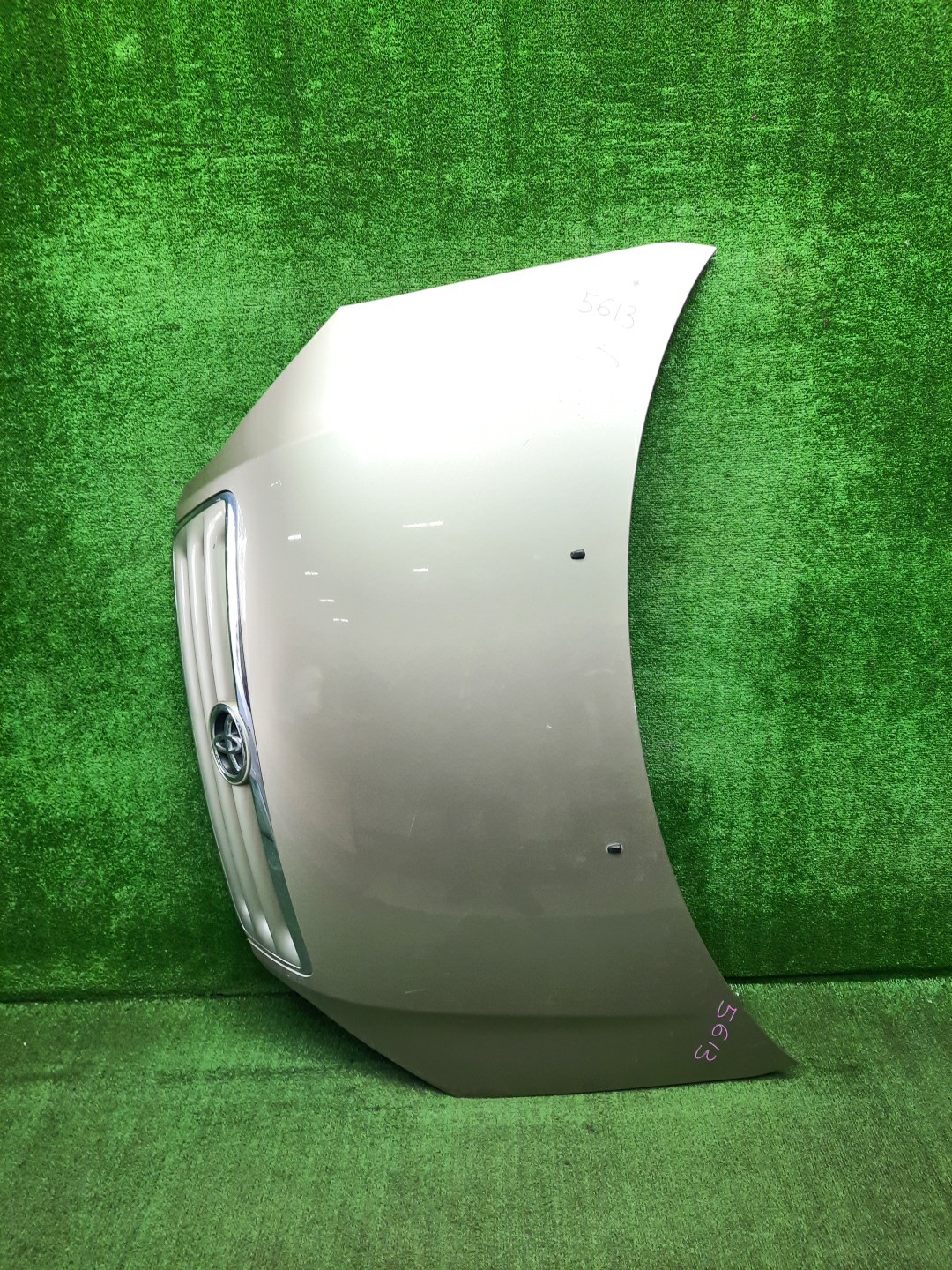 Капот TOYOTA IPSUM ACM21W, ACM26W 1MOD 1 ракурс