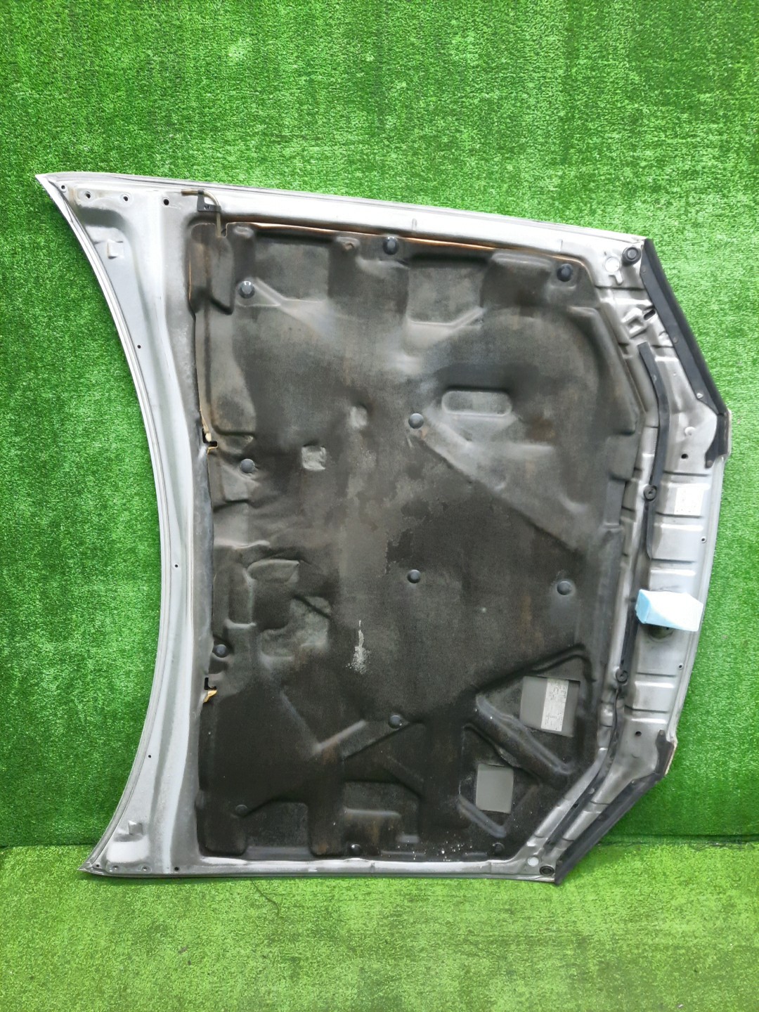 Капот TOYOTA CAMRY GRACIA SXV20 6794 5 ракурс
