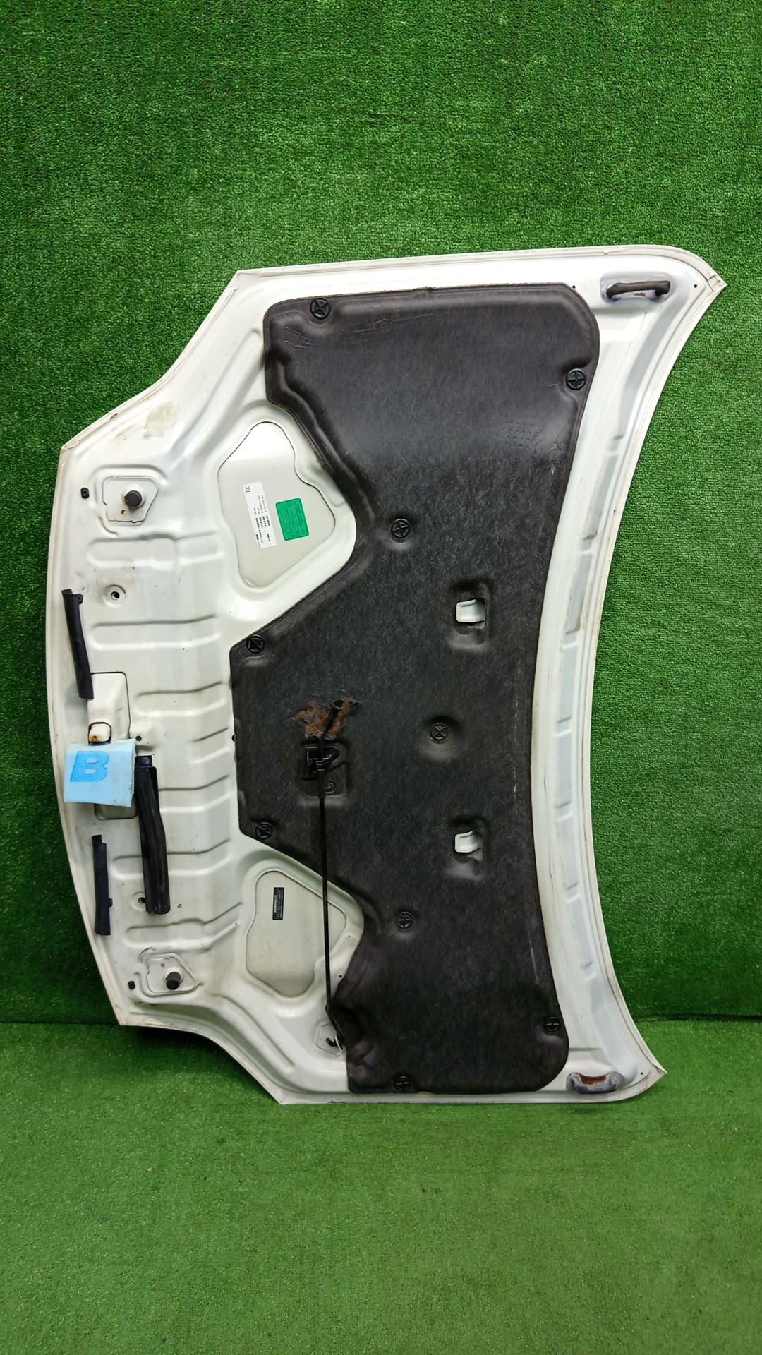 Капот NISSAN X-TRAIL T31, NT31, DNT31, TNT31 7459 4 ракурс
