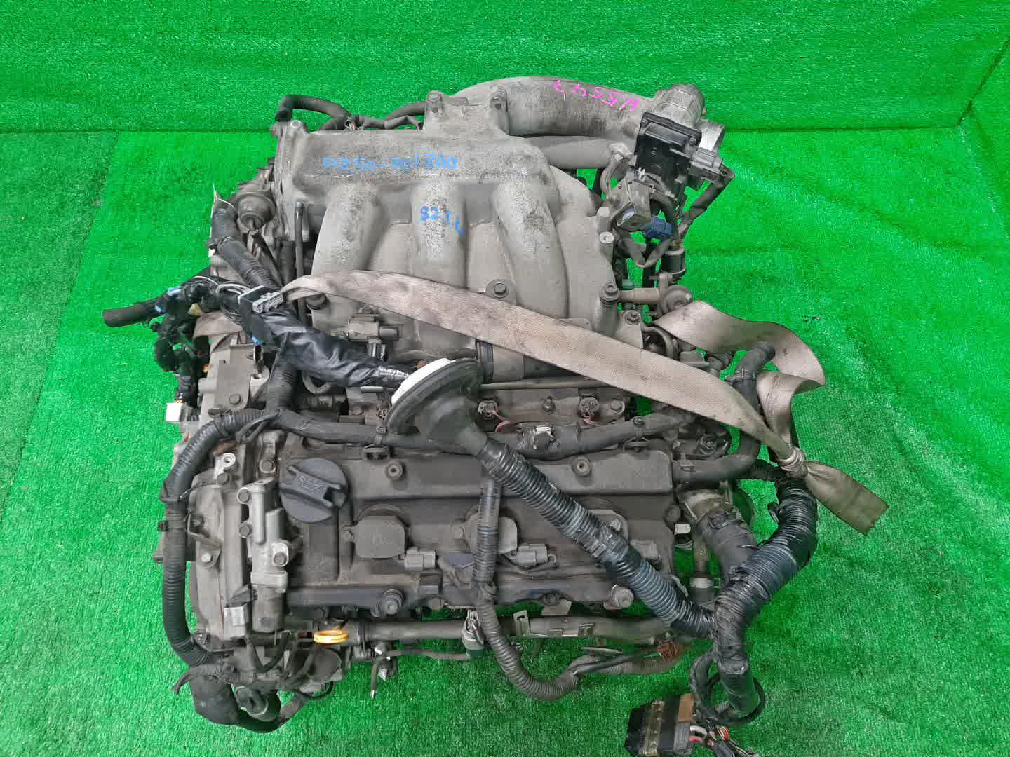Двигатель NISSAN MURANO PZ50 VQ35DE 356296B 1 ракурс
