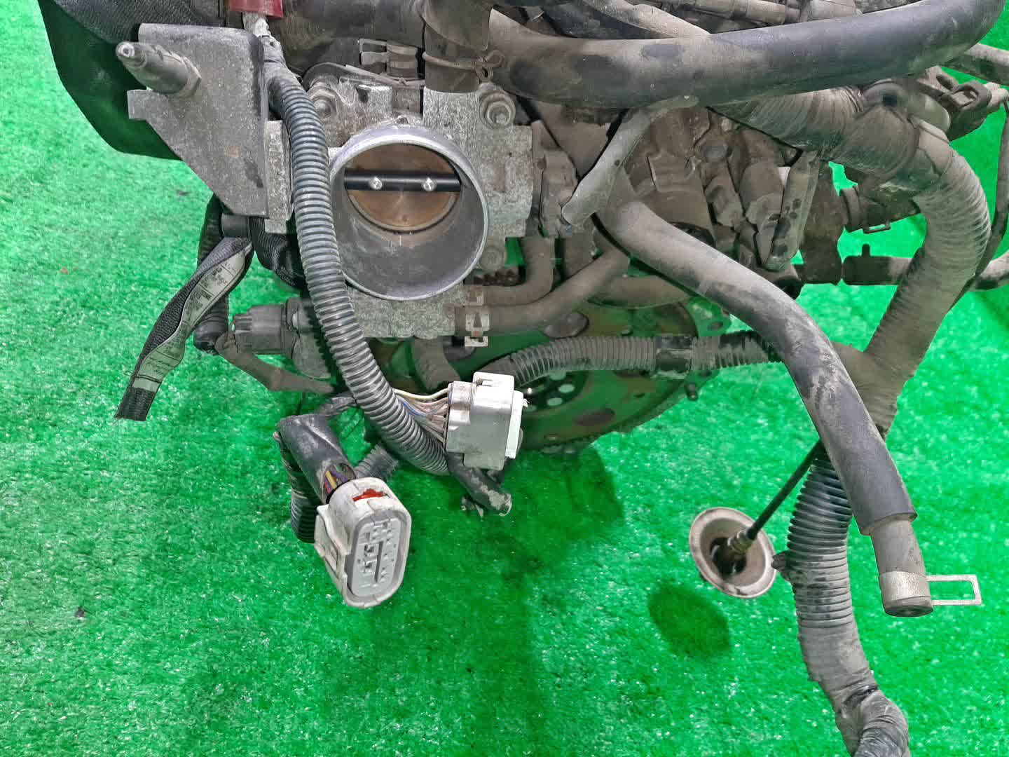 Двигатель TOYOTA COROLLA, PREMIO, COROLLA SPACIO, WISH, ALLION, COROLLA FIELDER, ALLEX, COROLLA RUNX, WILL VS ZZE124, ZZT245, ZZE124N, ZNE14G, ZZE124G, ZZE129 1ZZ-FE MEX 5 ракурс
