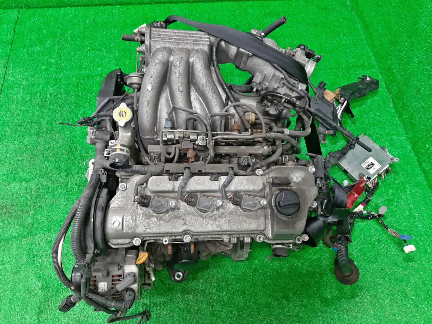 Двигатель TOYOTA PRONARD MCX20 1MZ-FE VVTI 1 ракурс