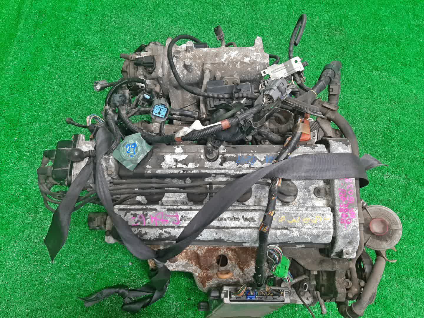 Двигатель HONDA ORTHIA EL1 B18B 1503810 1 ракурс