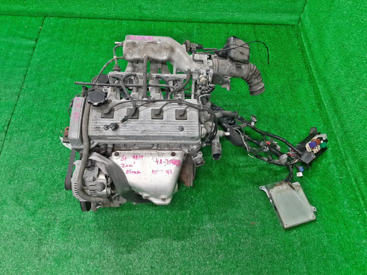 Двигатель TOYOTA SPRINTER CARIB, CERES, COROLLA, COROLLA LEVIN, SPRINTER MARINO, COROLLA SPACIO, SPRINTER, SPRINTER TRUENO AE111G, AE101, AE111, AE111N 4A-FE TPAM 1 ракурс