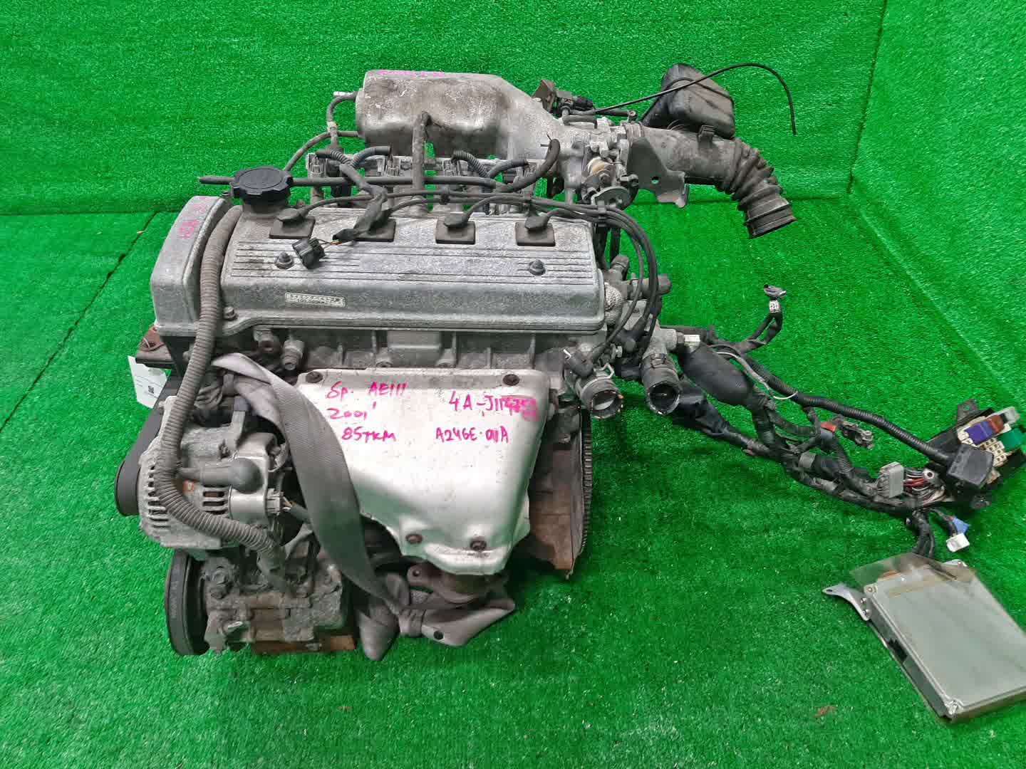 Двигатель TOYOTA SPRINTER CARIB, CERES, COROLLA, COROLLA LEVIN, SPRINTER MARINO, COROLLA SPACIO, SPRINTER, SPRINTER TRUENO AE111G, AE101, AE111, AE111N 4A-FE TPAM 4 ракурс