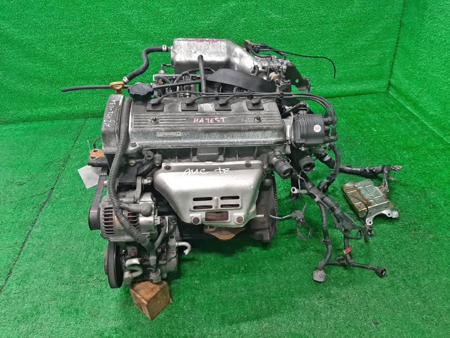 Двигатель TOYOTA CARINA, CERES, COROLLA, COROLLA LEVIN, SPRINTER MARINO, SPRINTER, SPRINTER TRUENO AT212, AT192, AE100, AE110 5A-FE G954262 4 ракурс