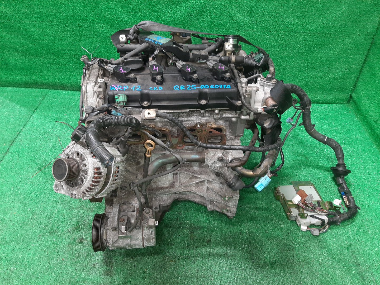 Двигатель NISSAN PRIMERA RP12, WRP12 QR25DD 006077A 4 ракурс