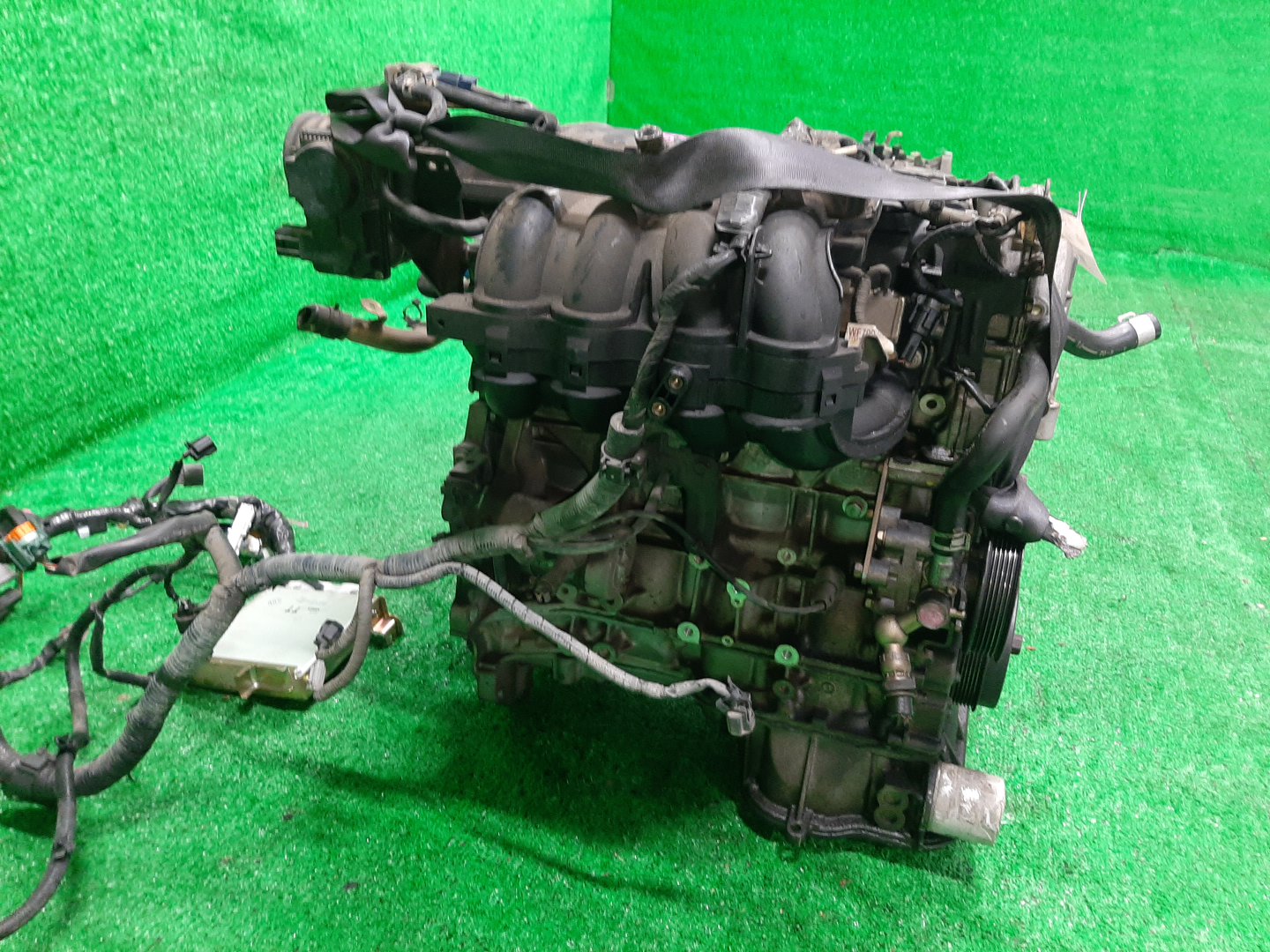 Двигатель NISSAN SERENA TC24 QR20DE PLASTIC 3 ракурс Двигатель NISSAN SERENA TC24 QR20DE PLASTIC 3 ракурс