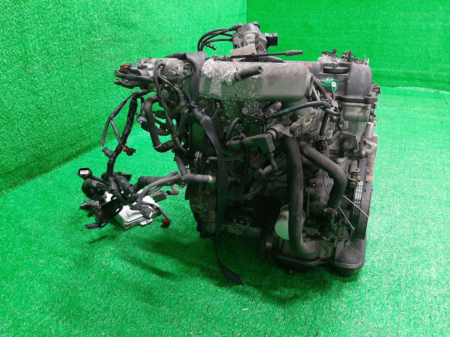 Двигатель NISSAN BLUEBIRD, PRIMERA, WINGROAD HU14, HP11, WHP11, WPY11 SR20VE 222143B 3 ракурс Двигатель NISSAN BLUEBIRD, PRIMERA, WINGROAD HU14, HP11, WHP11, WPY11 SR20VE 222143B 3 ракурс