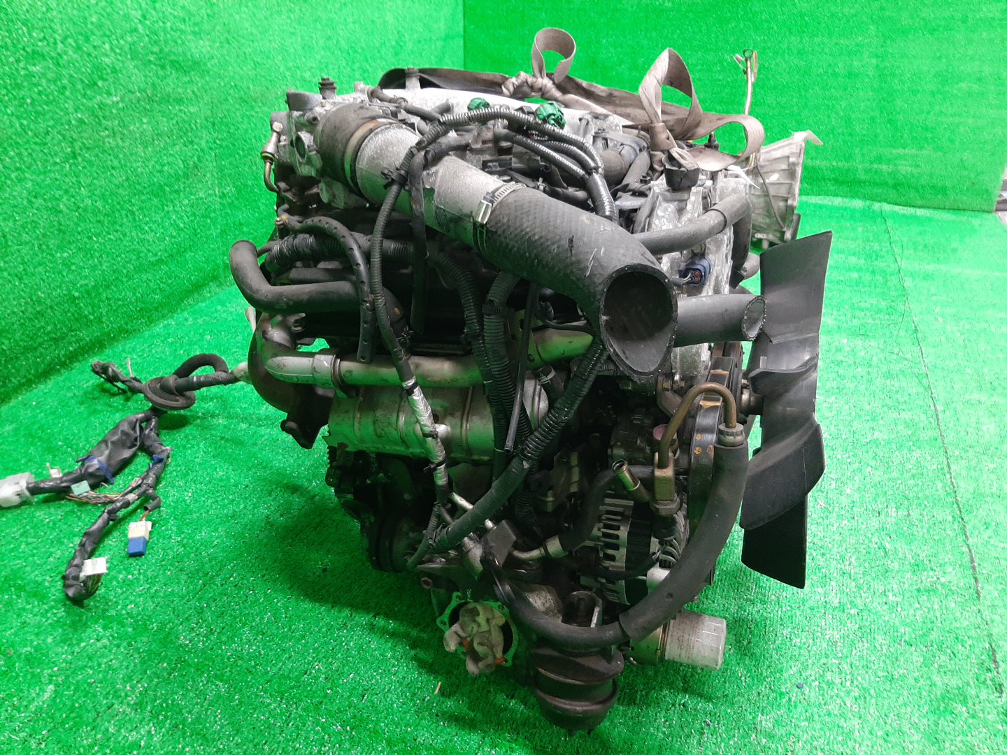 Двигатель NISSAN STAGEA NM35 VQ25DET 167137A 3 ракурс