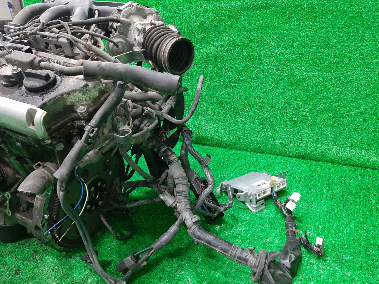 Двигатель TOYOTA ALPHARD MNH15W 1MZ-FE 2MOD 5 ракурс Двигатель TOYOTA ALPHARD MNH15W 1MZ-FE 2MOD 5 ракурс