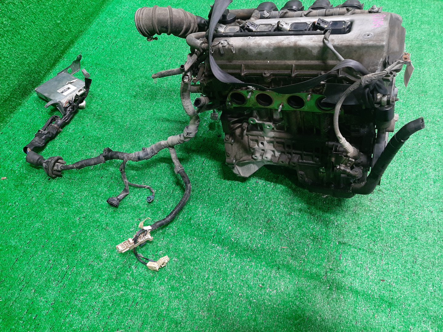 Двигатель TOYOTA COROLLA, PREMIO, COROLLA SPACIO, WISH, ALLION, COROLLA FIELDER, ALLEX, COROLLA RUNX, WILL VS ZZE124, ZZT245, ZZE124N, ZNE14G, ZZE124G, ZZE129 1ZZ-FE MEX 3 ракурс
