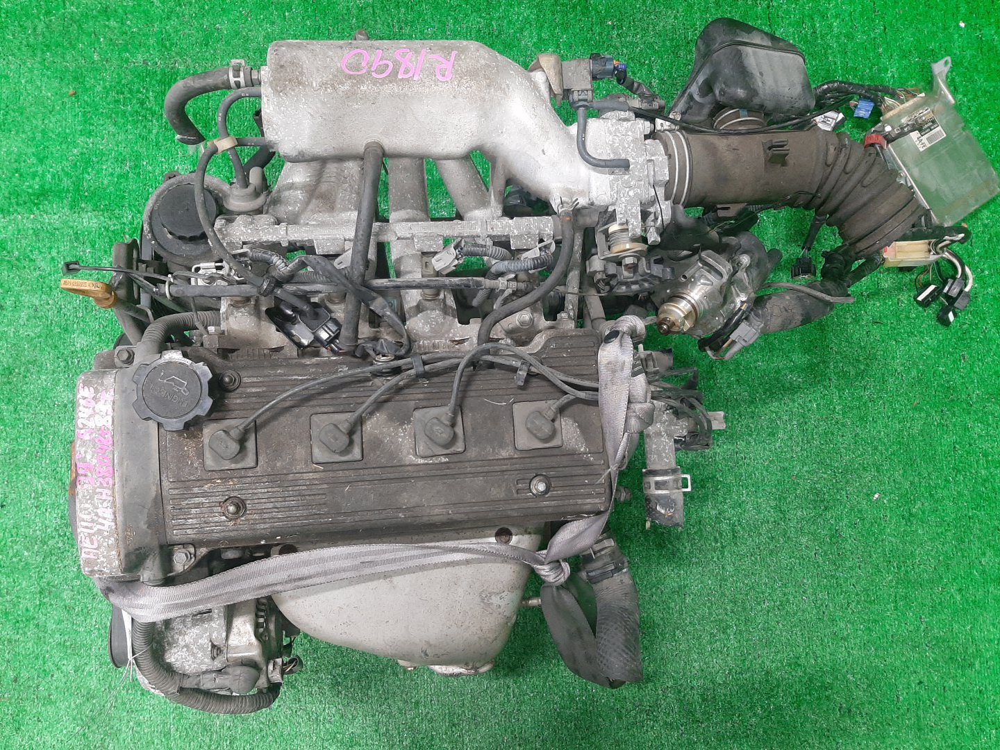 Двигатель TOYOTA SPRINTER CARIB, CERES, COROLLA, COROLLA LEVIN, SPRINTER MARINO, COROLLA SPACIO, SPRINTER, SPRINTER TRUENO AE111G, AE101, AE111, AE111N 4A-FE TPAM 1 ракурс