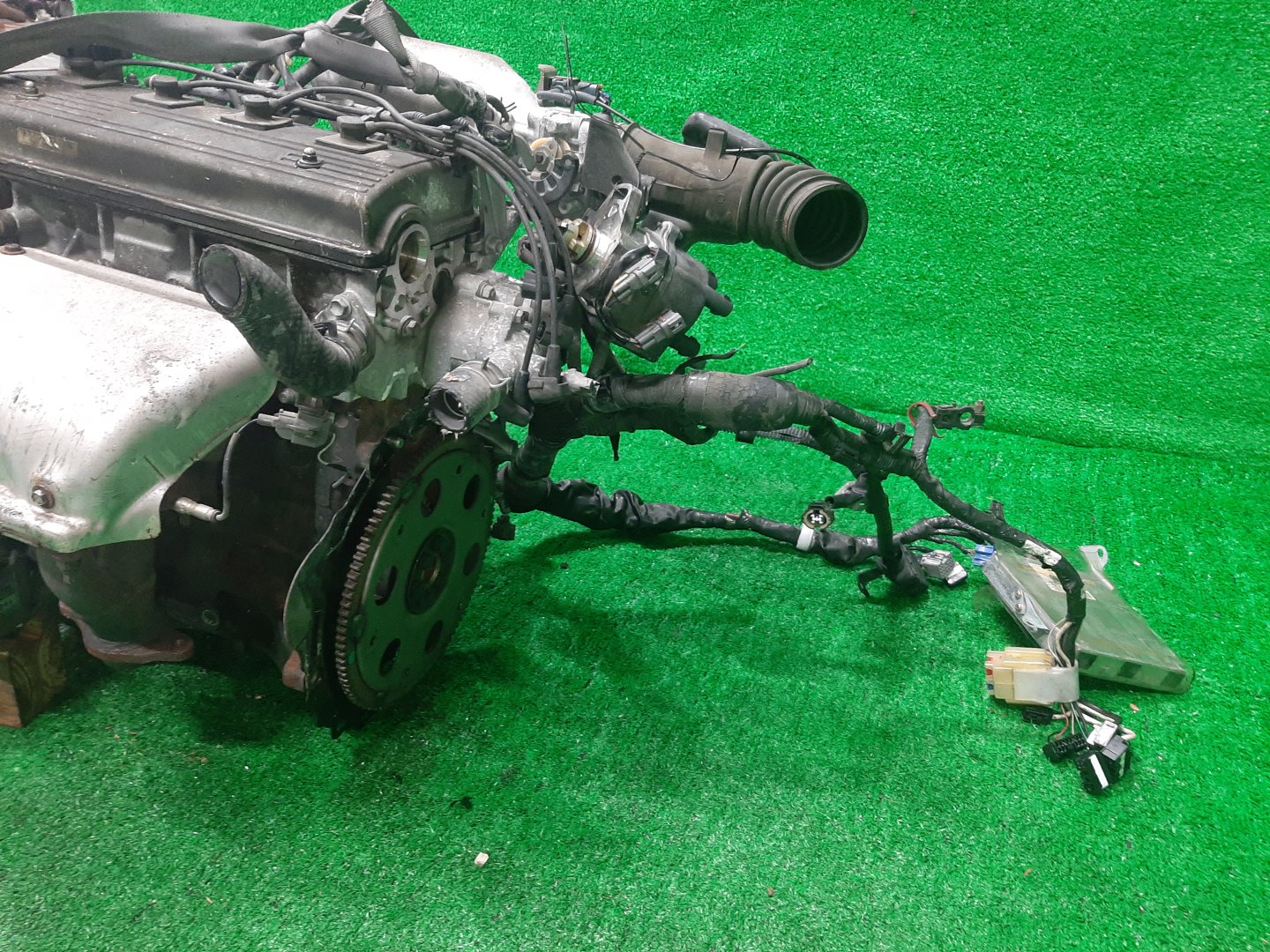 Двигатель TOYOTA SPRINTER CARIB, CERES, COROLLA, COROLLA LEVIN, SPRINTER MARINO, COROLLA SPACIO, SPRINTER, SPRINTER TRUENO AE111G, AE101, AE111, AE111N 4A-FE TPAM 5 ракурс