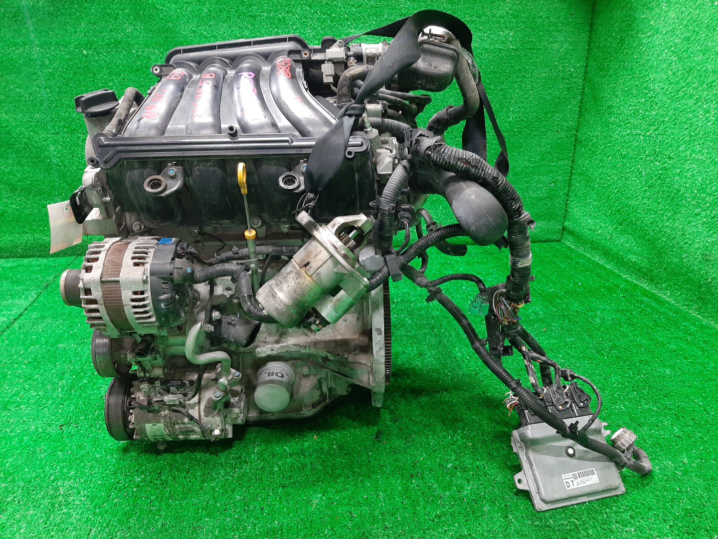 Двигатель NISSAN LANDY, SERENA SC25, CC25, C25 MR20DE 046785B 4 ракурс Двигатель NISSAN LANDY, SERENA SC25, CC25, C25 MR20DE 046785B 4 ракурс