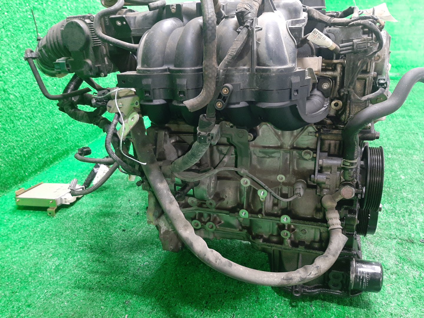 Двигатель NISSAN SERENA TC24 QR20DE PLASTIC 3 ракурс Двигатель NISSAN SERENA TC24 QR20DE PLASTIC 3 ракурс
