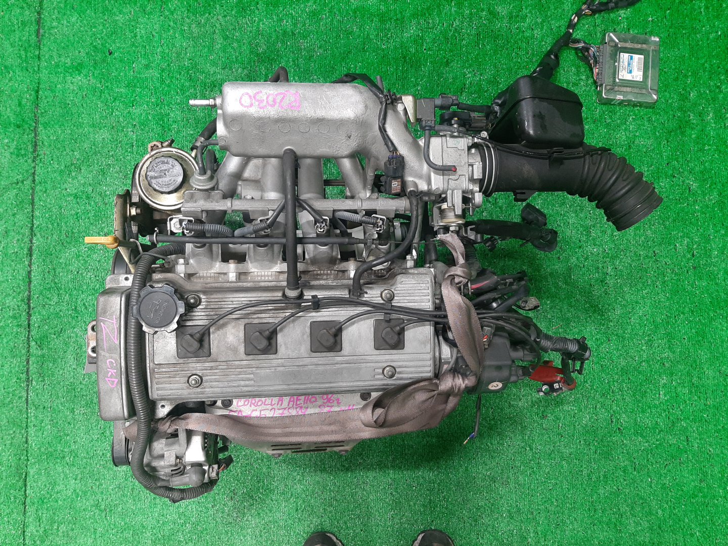 Двигатель TOYOTA CARINA, CERES, COROLLA, COROLLA LEVIN, SPRINTER MARINO, SPRINTER, SPRINTER TRUENO AT212, AT192, AE100, AE110 5A-FE G527884 1 ракурс