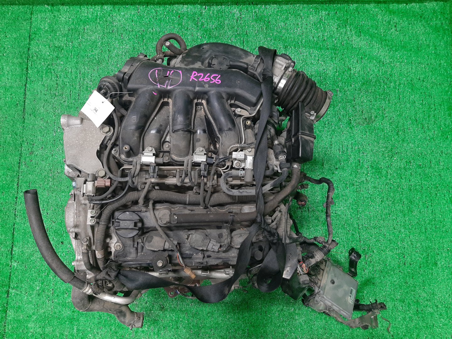 Двигатель NISSAN ELGRAND PE52 VQ35DE 906388C 1 ракурс