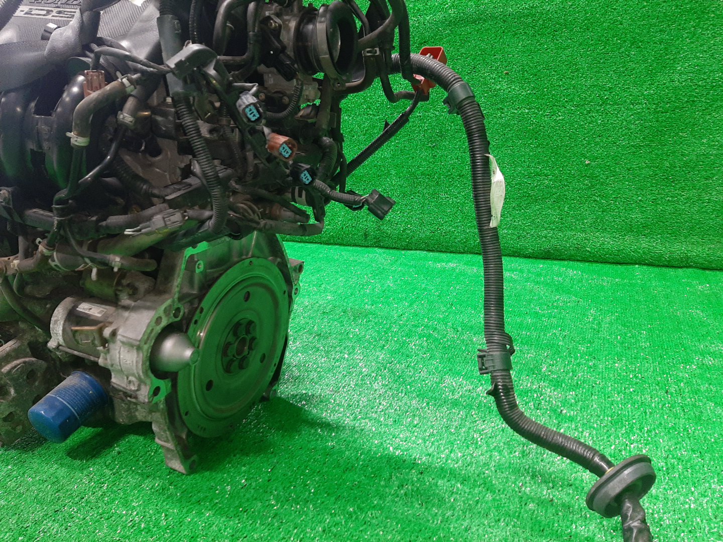 Двигатель HONDA FIT ARIA, FIT GD6, GD7, GD2, GD1 L13A I-DSI 5 ракурс