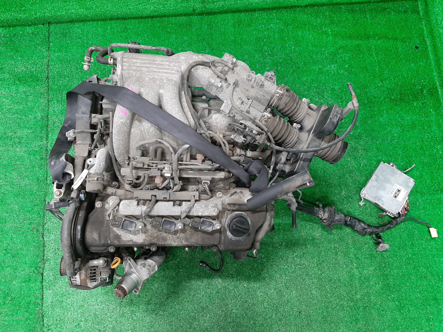 Двигатель TOYOTA ALPHARD MNH15W 1MZ-FE 1MOD 1 ракурс Двигатель TOYOTA ALPHARD MNH15W 1MZ-FE 1MOD 1 ракурс