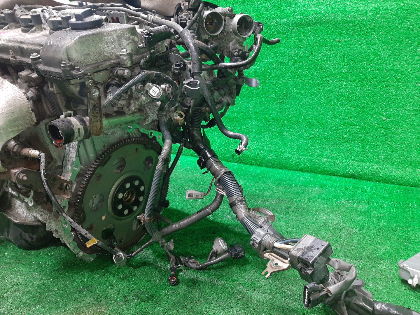 Двигатель TOYOTA ALPHARD MNH15W 1MZ-FE 1MOD 5 ракурс Двигатель TOYOTA ALPHARD MNH15W 1MZ-FE 1MOD 5 ракурс