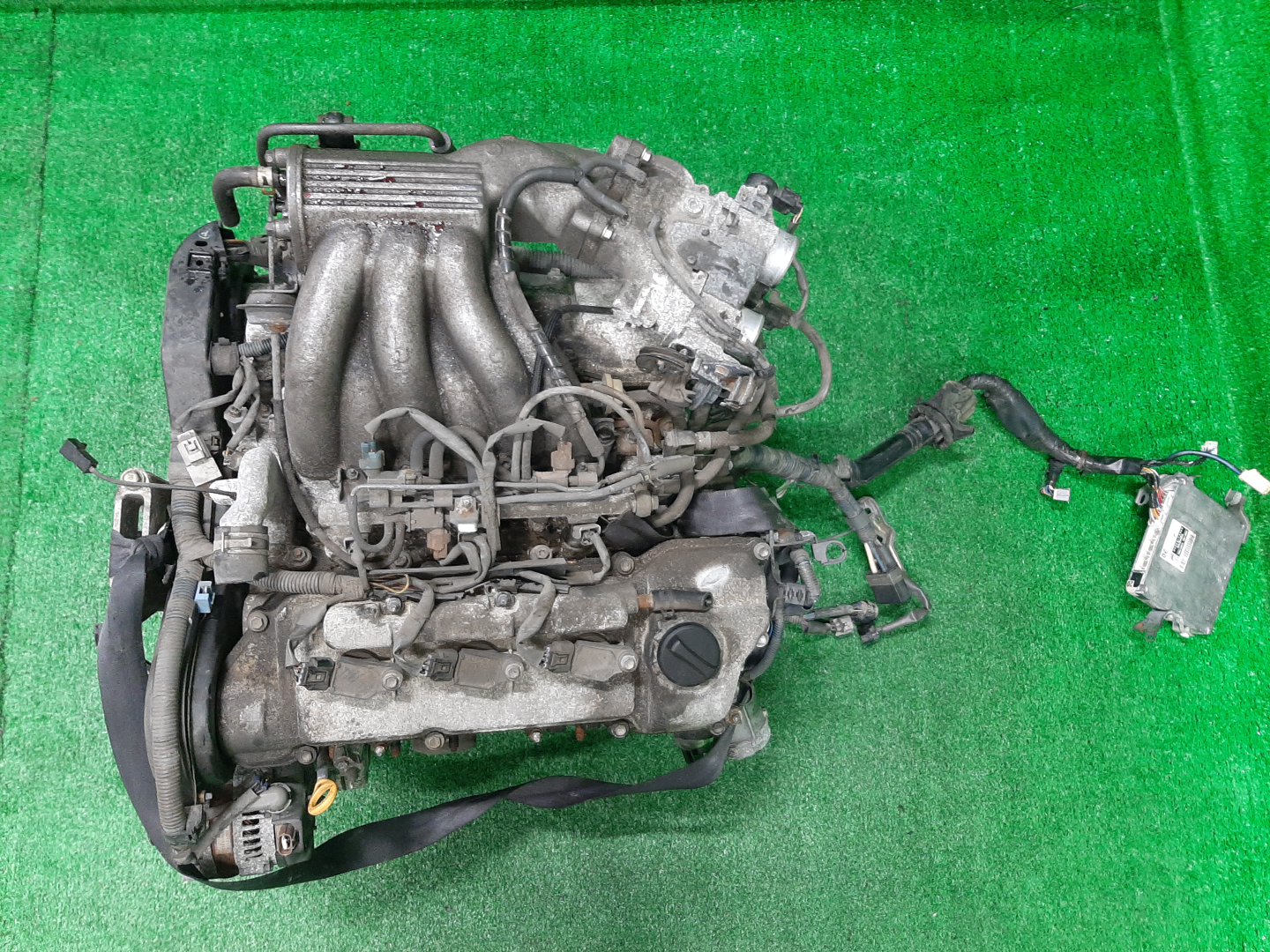 Двигатель TOYOTA ALPHARD MNH15W 1MZ-FE 1MOD 1 ракурс Двигатель TOYOTA ALPHARD MNH15W 1MZ-FE 1MOD 1 ракурс