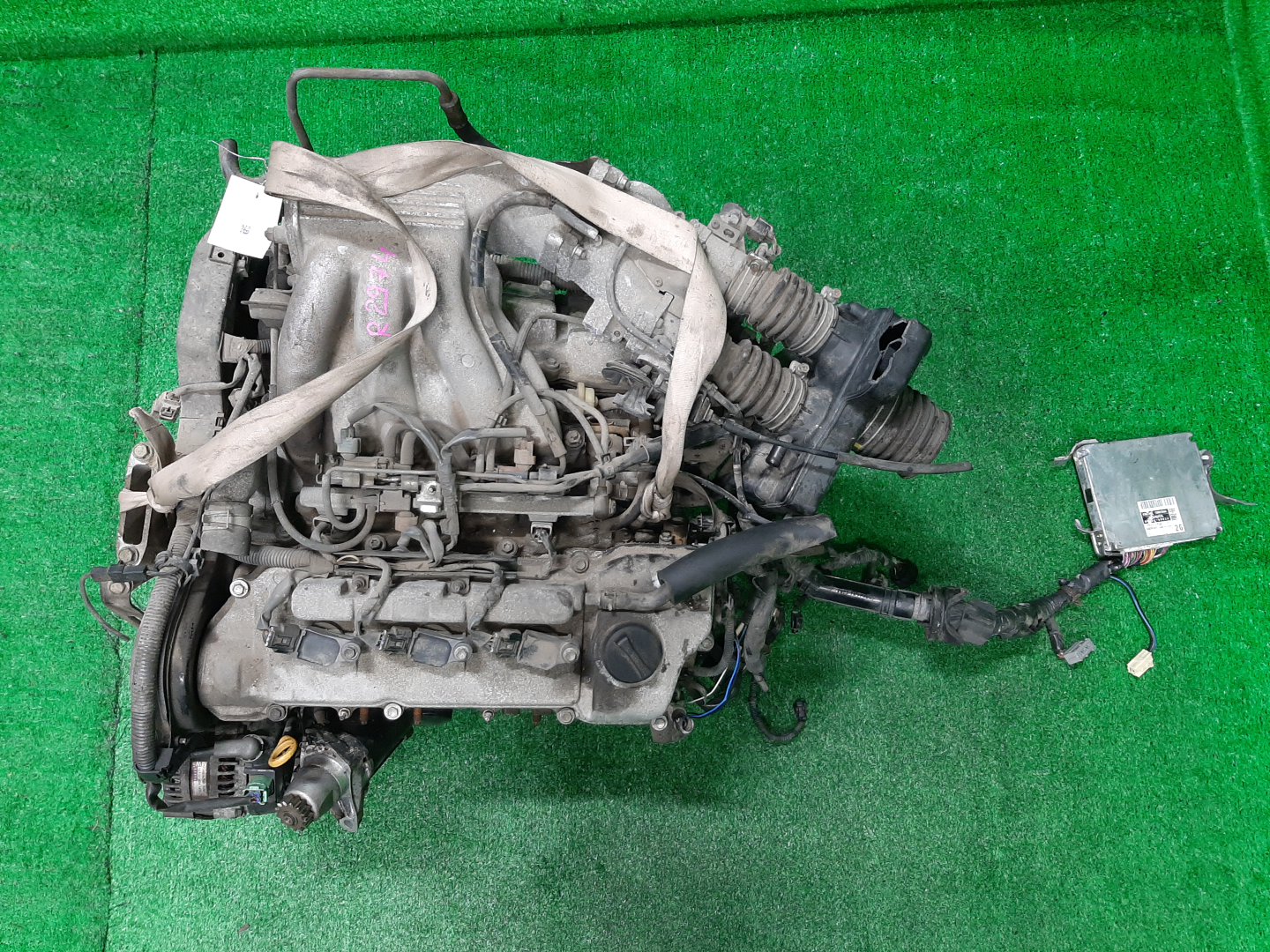 Двигатель TOYOTA ALPHARD MNH15W 1MZ-FE 1MOD 1 ракурс Двигатель TOYOTA ALPHARD MNH15W 1MZ-FE 1MOD 1 ракурс