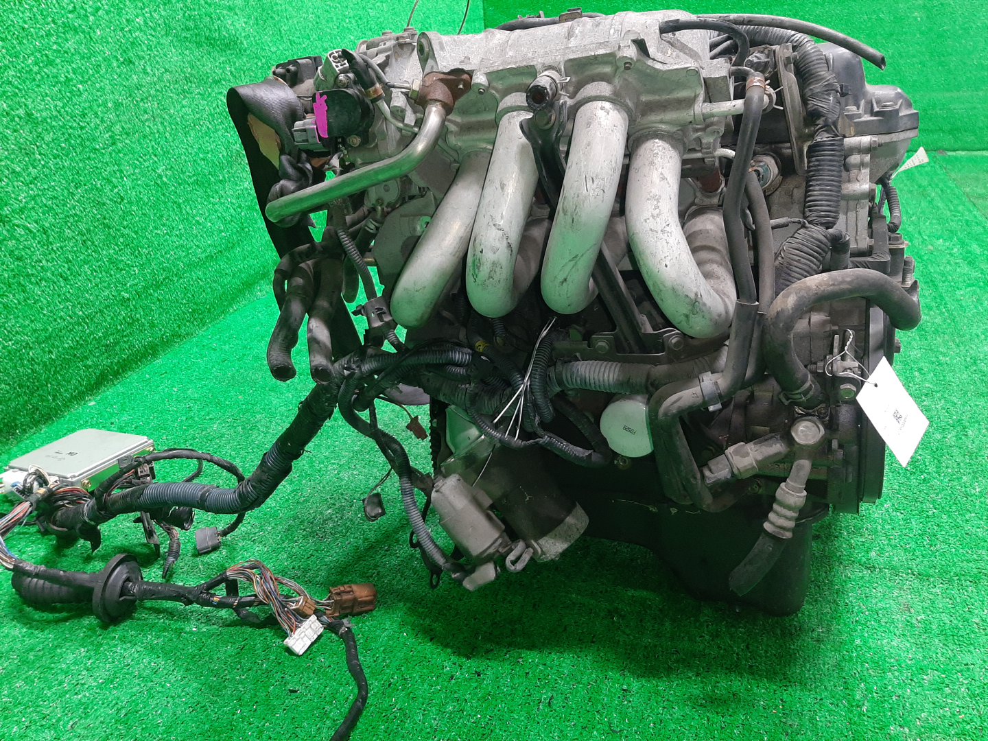 Двигатель NISSAN AVENIR, BLUEBIRD, EXPERT, PRIMERA, TINO, WINGROAD, ALMERA, BLUEBIRD SYLPHY W11, QU14, VW11, QP11, V10, WHY11, N16, G10, QG10 QG18DE MEXAH 3 ракурс