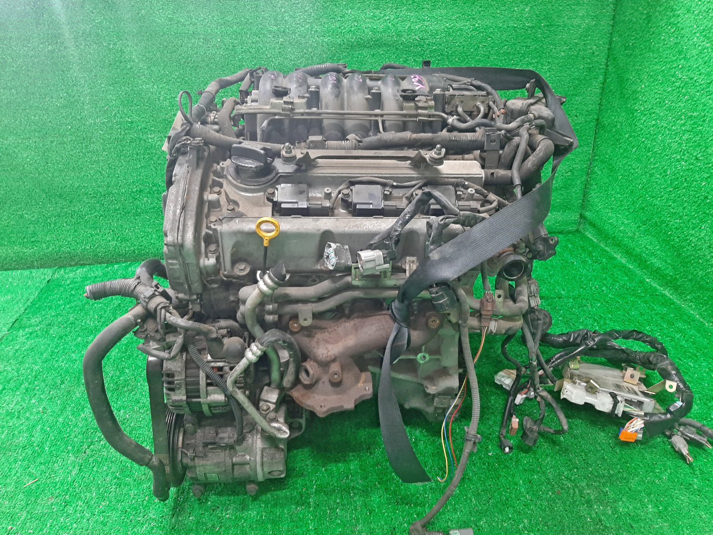 Двигатель NISSAN CEFIRO A33 VQ20DE NEO 3 ракурс Двигатель NISSAN CEFIRO A33 VQ20DE NEO 3 ракурс