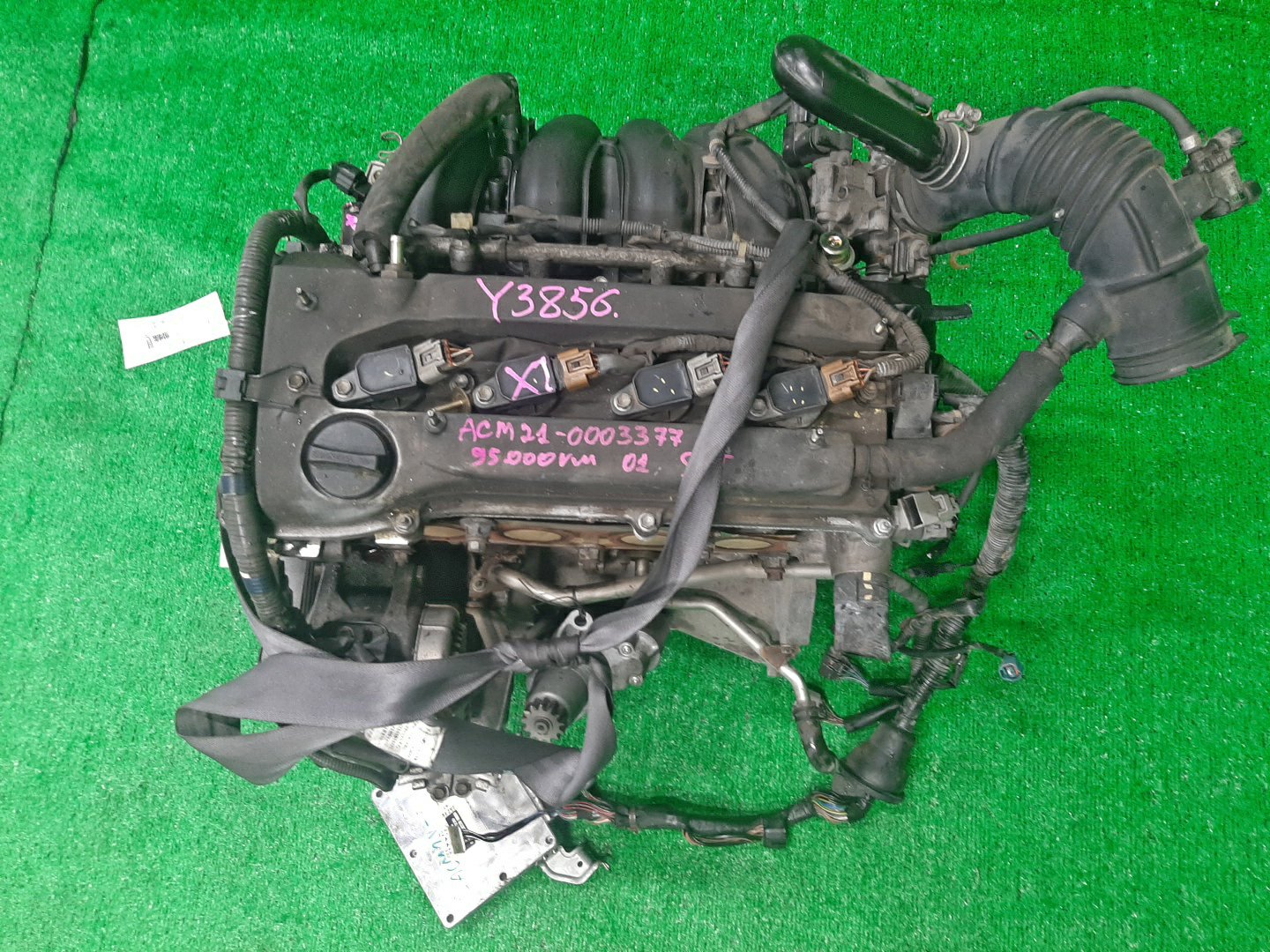 Двигатель TOYOTA IPSUM ACM21W, ACM26W 2AZ-FE MEX 1 ракурс Двигатель TOYOTA IPSUM ACM21W, ACM26W 2AZ-FE MEX 1 ракурс