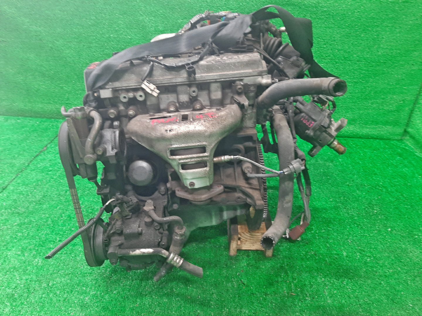 Двигатель TOYOTA COROLLA, SPRINTER, CORSA, STARLET, TERCEL, COROLLA II, CYNOS EE101, EE102, EE111, EE100, EL41, EL51, EP82, EP91, EL52 4E-FE TPAM 3 ракурс