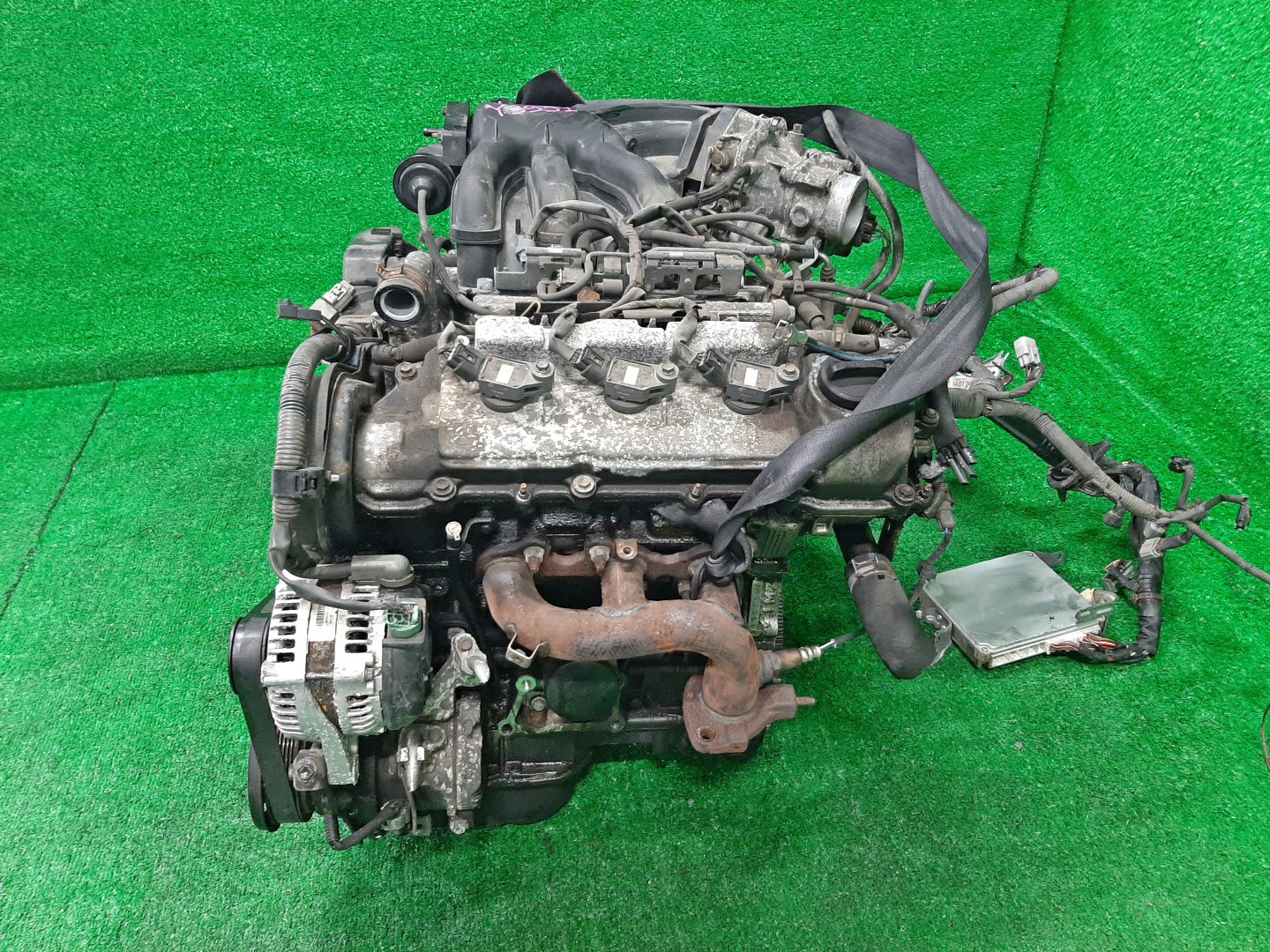 Двигатель TOYOTA ALPHARD MNH15W 1MZ-FE 2MOD 4 ракурс Двигатель TOYOTA ALPHARD MNH15W 1MZ-FE 2MOD 4 ракурс