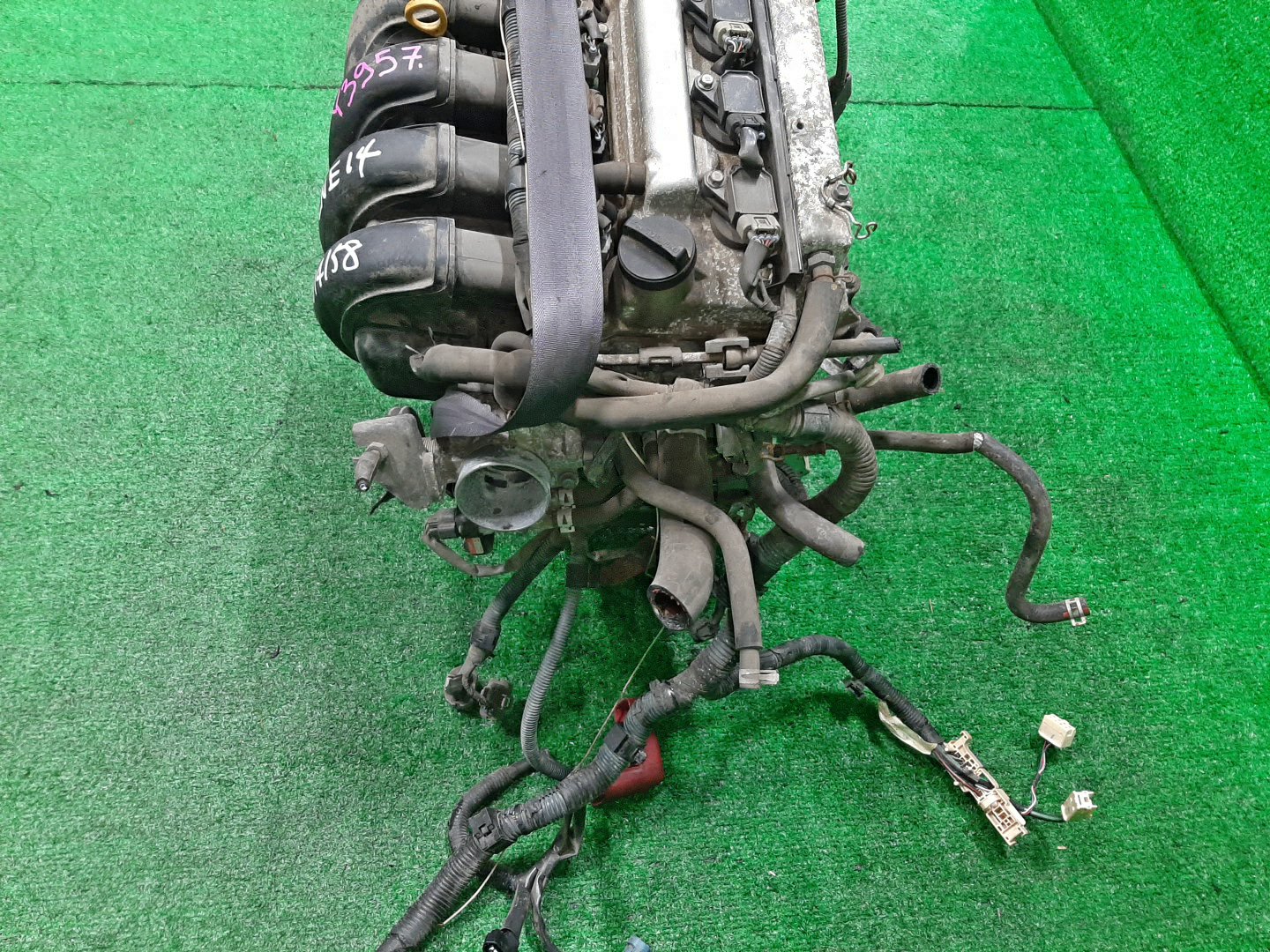 Двигатель TOYOTA COROLLA, PREMIO, COROLLA SPACIO, WISH, ALLION, COROLLA FIELDER, ALLEX, COROLLA RUNX, WILL VS ZZE124, ZZT245, ZZE124N, ZNE14G, ZZE124G, ZZE129 1ZZ-FE MEX 5 ракурс