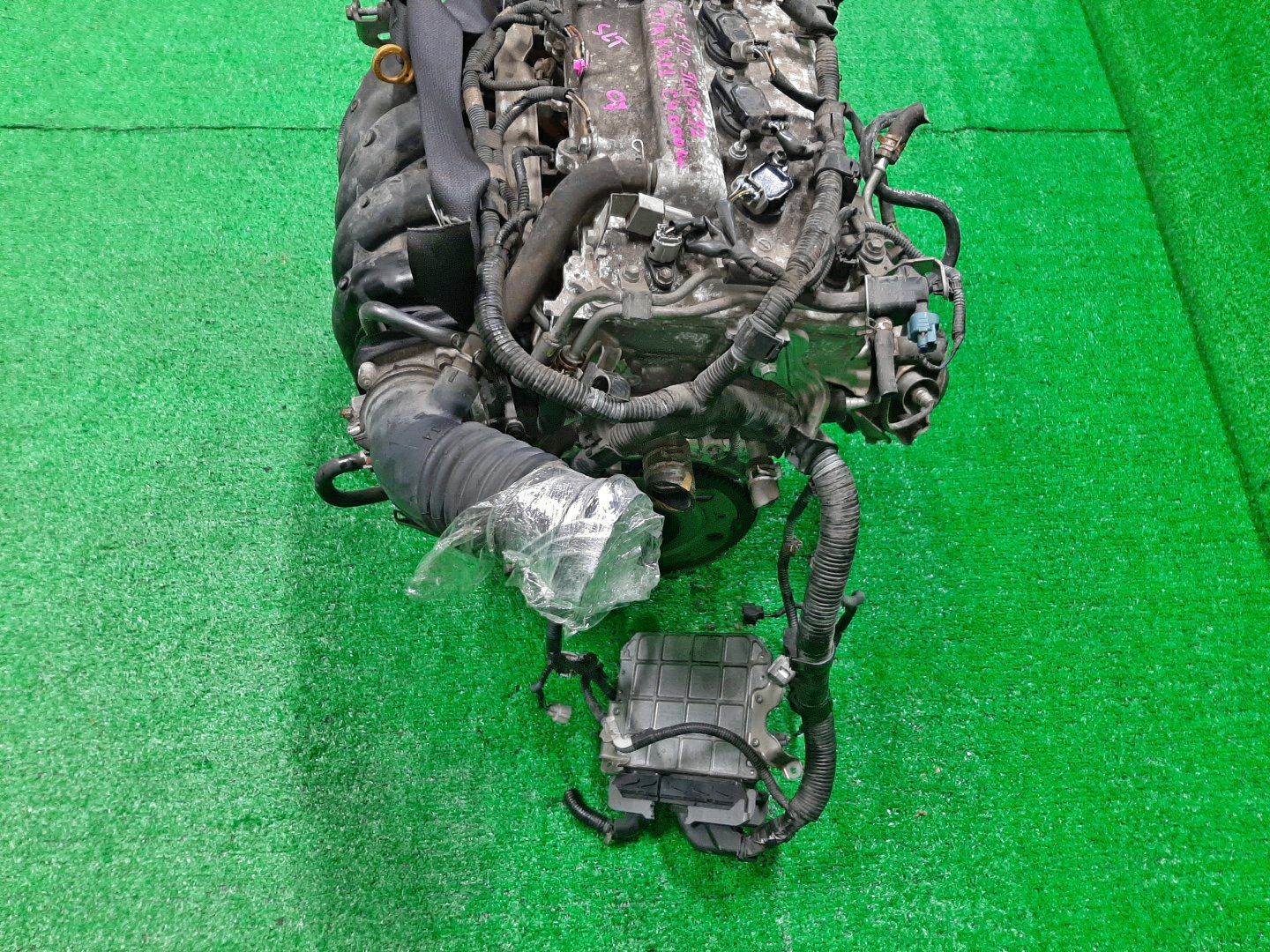 Двигатель TOYOTA IST, PREMIO, ALLION, COROLLA FIELDER, AURIS, COROLLA RUMION, COROLLA AXIO ZSP110, ZRT265, ZRT260, ZRE144G, ZRE142G, ZRE154N, ZRE152H, ZRE152, ZRE152N, ZRE142, ZRE144 2ZR-FE 0036225 5 ракурс Двигатель TOYOTA IST, PREMIO, ALLION, COROLLA FIELDER, AURIS, COROLLA RUMION, COROLLA AXIO ZSP110, ZRT265, ZRT260, ZRE144G, ZRE142G, ZRE154N, ZRE152H, ZRE152, ZRE152N, ZRE142, ZRE144 2ZR-FE 0036225 5 ракурс