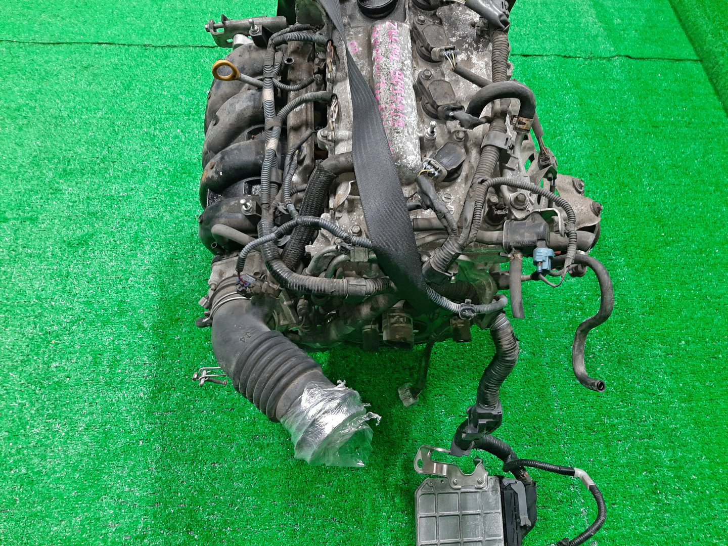 Двигатель TOYOTA IST, PREMIO, ALLION, COROLLA FIELDER, AURIS, COROLLA RUMION, COROLLA AXIO ZSP110, ZRT265, ZRT260, ZRE144G, ZRE142G, ZRE154N, ZRE152H, ZRE152, ZRE152N, ZRE142, ZRE144 2ZR-FE 0400682 5 ракурс Двигатель TOYOTA IST, PREMIO, ALLION, COROLLA FIELDER, AURIS, COROLLA RUMION, COROLLA AXIO ZSP110, ZRT265, ZRT260, ZRE144G, ZRE142G, ZRE154N, ZRE152H, ZRE152, ZRE152N, ZRE142, ZRE144 2ZR-FE 0400682 5 ракурс