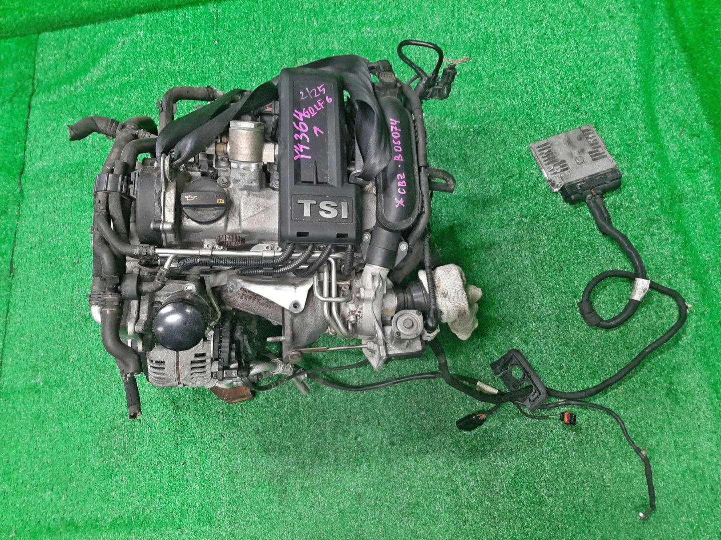 Двигатель VOLKSWAGEN TOURAN, BEETLE, GOLF, GOLF PLUS, POLO 1T3, 5C1, 5K1, MK6, 5M1, 6R1 CBZB, CBZ B06074 1 ракурс
