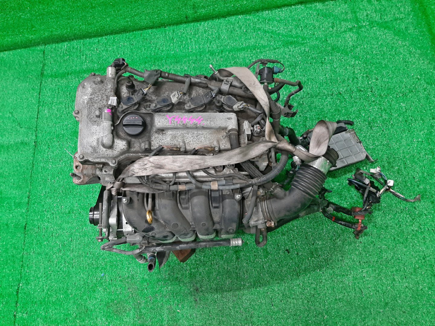 Двигатель TOYOTA IST, PREMIO, ALLION, COROLLA FIELDER, AURIS, COROLLA RUMION, COROLLA AXIO ZSP110, ZRT265, ZRT260, ZRE144G, ZRE142G, ZRE154N, ZRE152H, ZRE152, ZRE152N, ZRE142, ZRE144 2ZR-FE 0390993 1 ракурс Двигатель TOYOTA IST, PREMIO, ALLION, COROLLA FIELDER, AURIS, COROLLA RUMION, COROLLA AXIO ZSP110, ZRT265, ZRT260, ZRE144G, ZRE142G, ZRE154N, ZRE152H, ZRE152, ZRE152N, ZRE142, ZRE144 2ZR-FE 0390993 1 ракурс