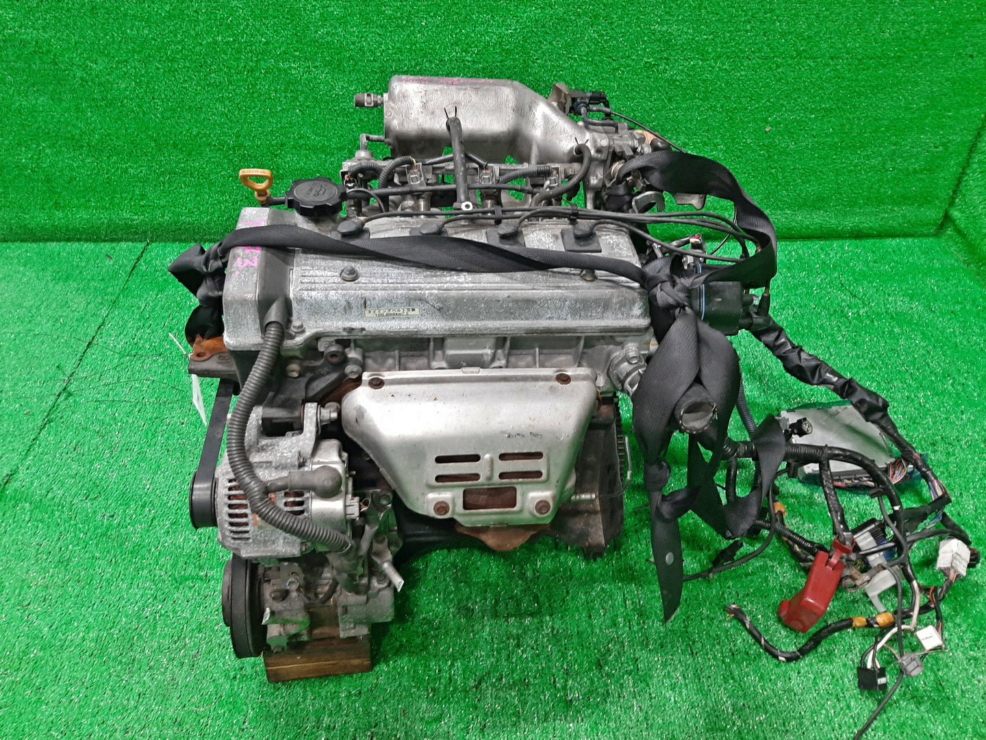 Двигатель TOYOTA CARINA, CERES, COROLLA, COROLLA LEVIN, SPRINTER MARINO, SPRINTER, SPRINTER TRUENO AT212, AT192, AE100, AE110 5A-FE G456051 4 ракурс