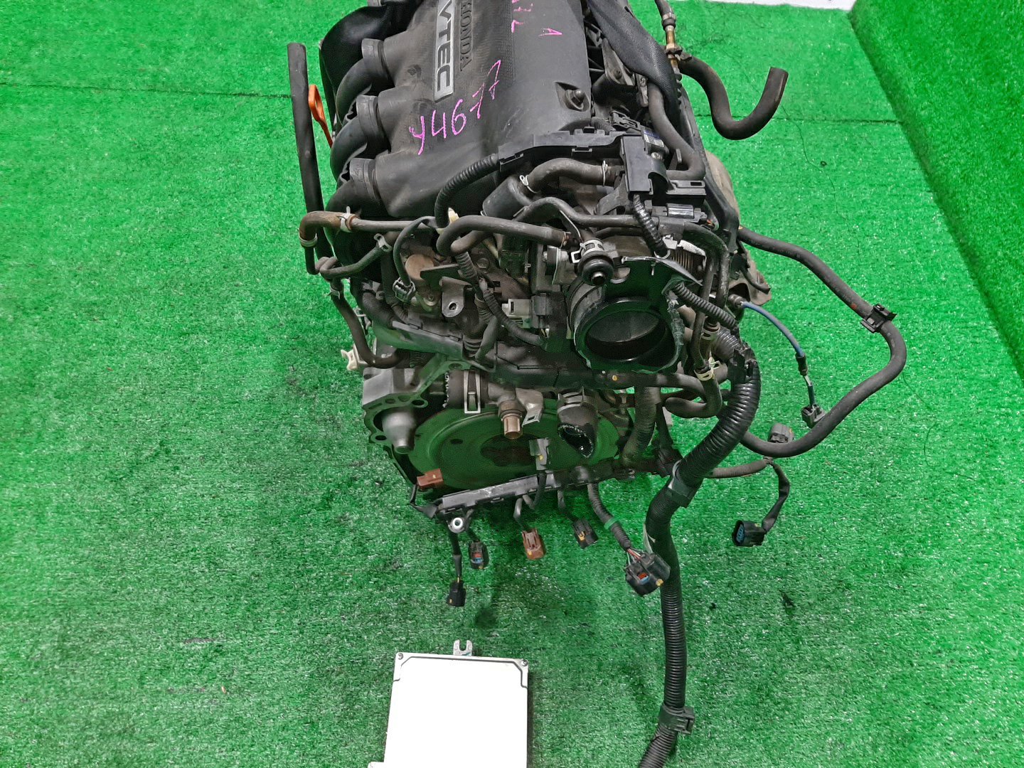 Двигатель HONDA AIRWAVE GJ1, GJ2 L15A VTEC 5 ракурс