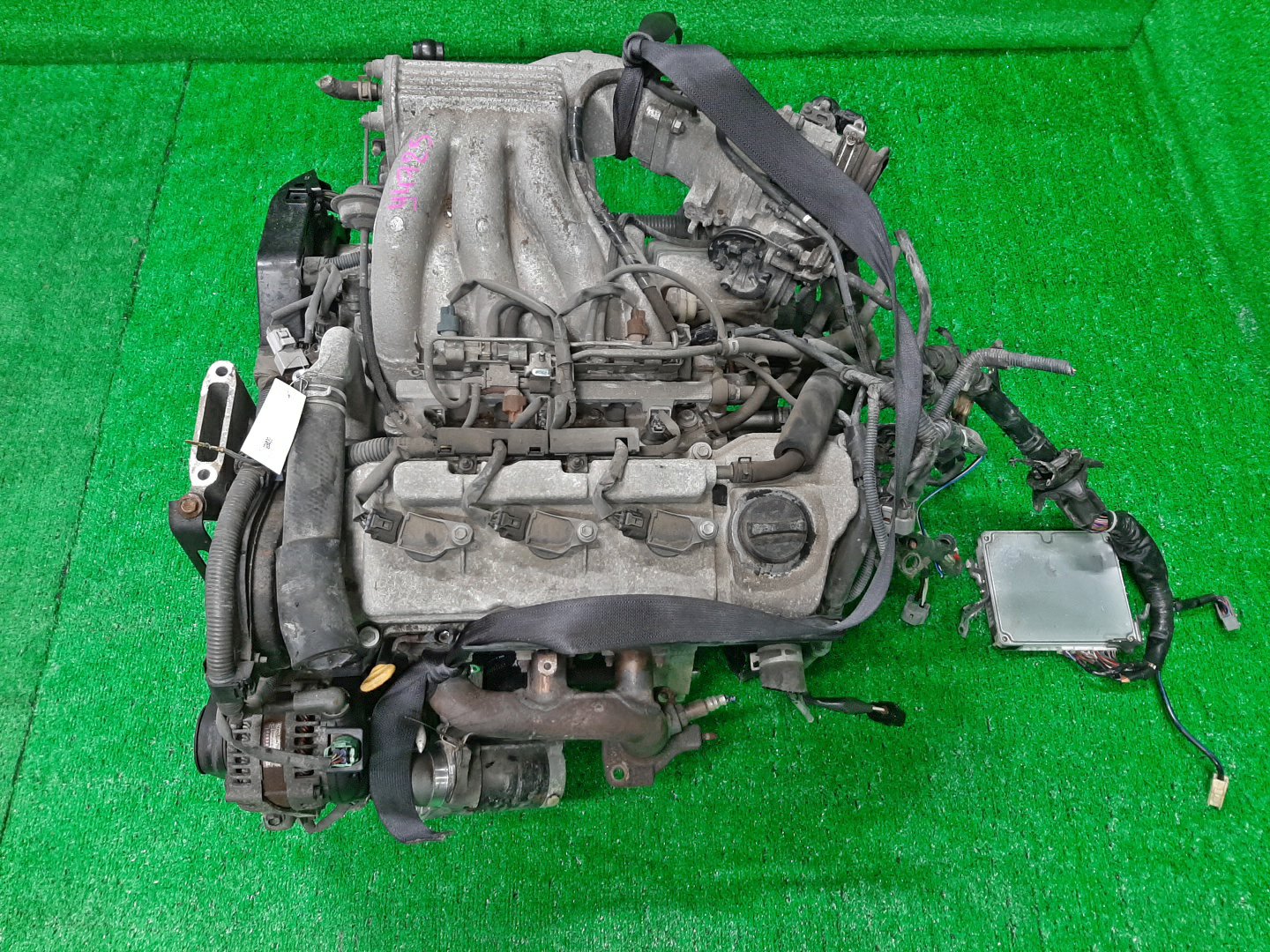 Двигатель TOYOTA ALPHARD MNH15W 1MZ-FE 1MOD 1 ракурс Двигатель TOYOTA ALPHARD MNH15W 1MZ-FE 1MOD 1 ракурс