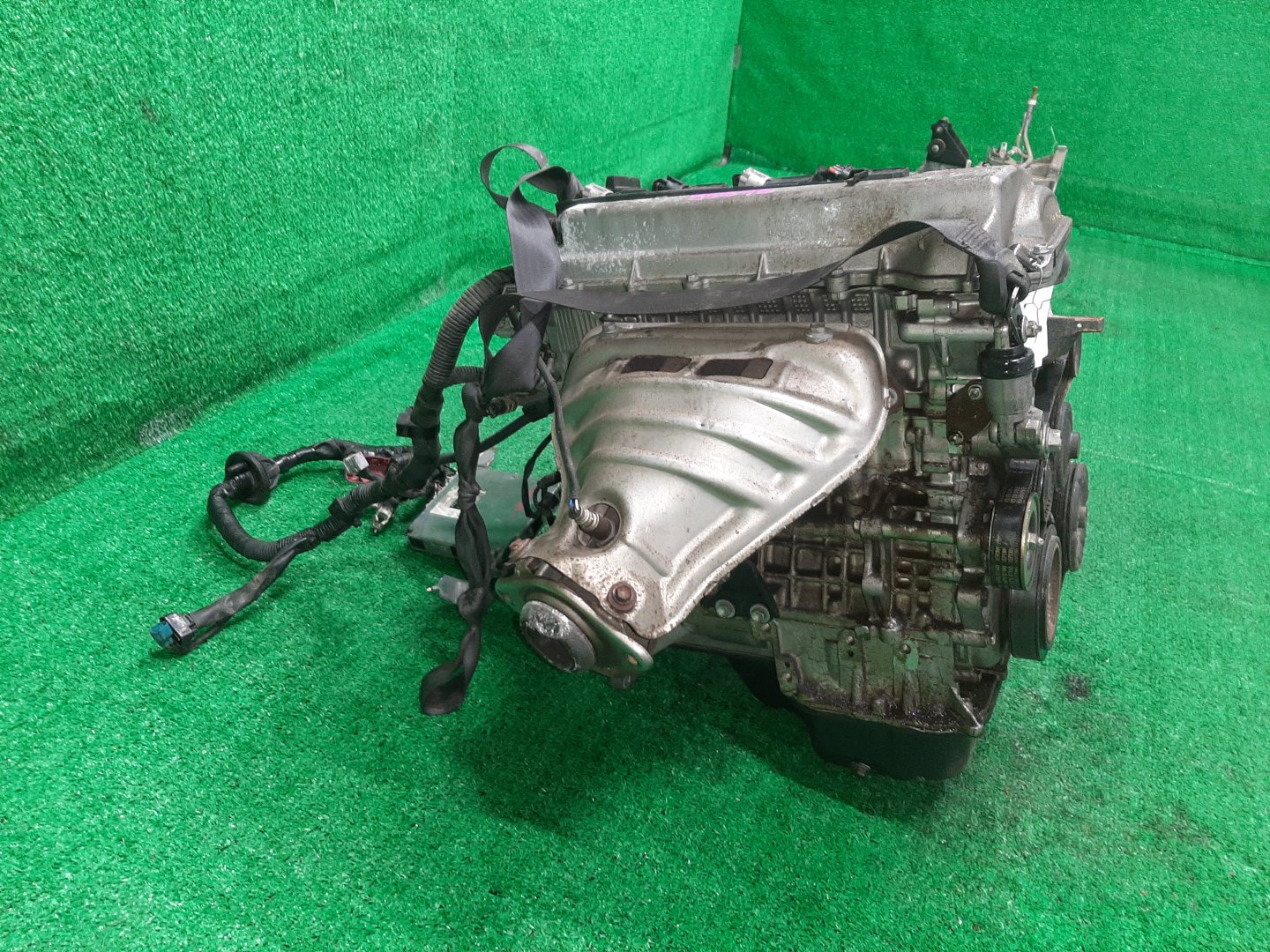 Двигатель TOYOTA CALDINA, CELICA, COROLLA, PREMIO, COROLLA SPACIO, ISIS, WISH, ALLION, COROLLA FIELDER, ALLEX, COROLLA RUNX, WILL VS, FIELDER ZGE20W, ZZT240, ZZT241W, ZZT230, ZZE122, ZNM10, ZNM10W, ZNM10G, ZNE10, ZNE10G, ZZE127 1ZZ-FE MEX 3 ракурс