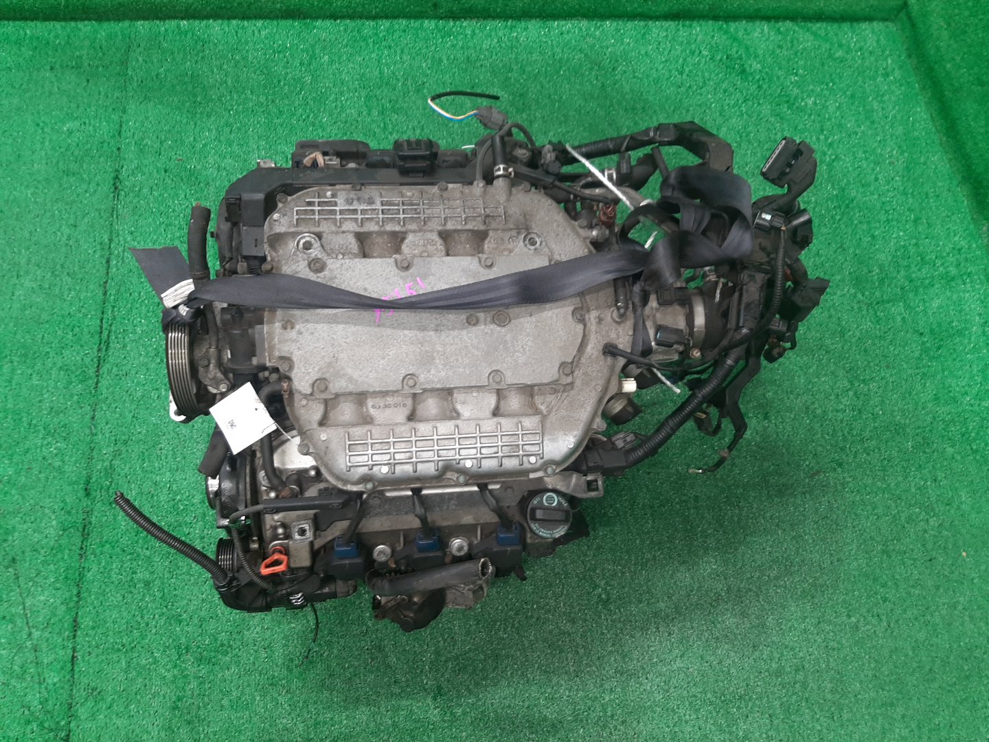 Двигатель HONDA ELYSION RR5, RR6 J35A 7104775 1 ракурс