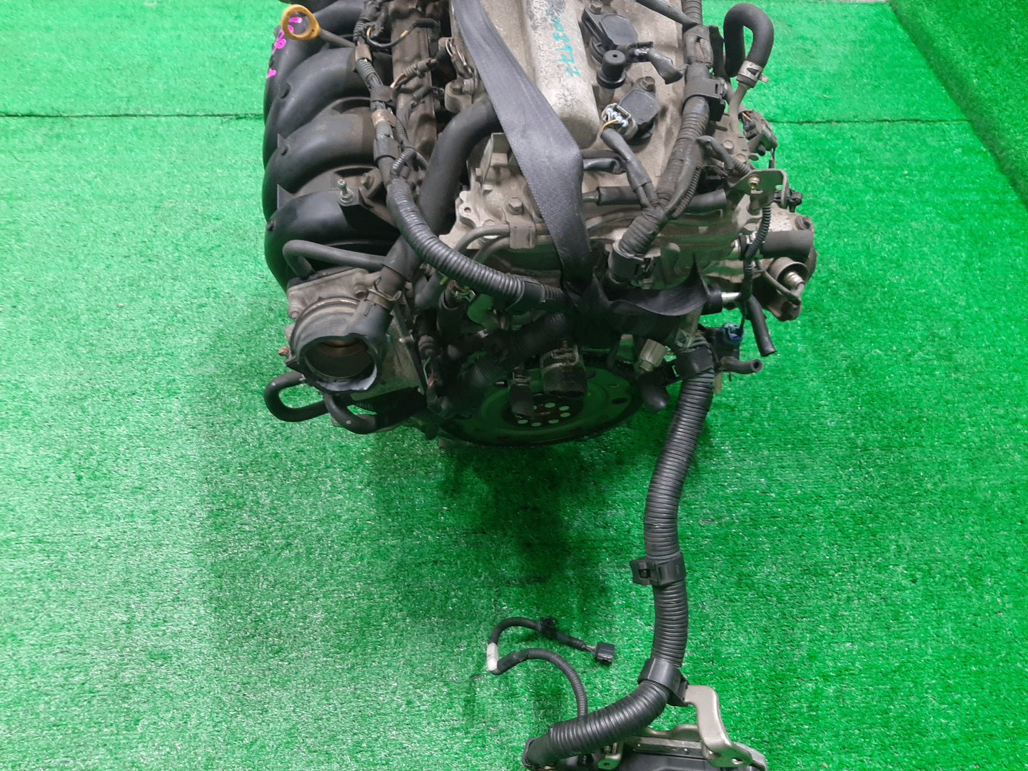 Двигатель TOYOTA IST, PREMIO, ALLION, COROLLA FIELDER, AURIS, COROLLA RUMION, COROLLA  AXIO ZSP110, ZRT265, ZRT260, ZRE144G, ZRE142G, ZRE154N, ZRE152H, ZRE152, ZRE152N, ZRE142, ZRE144 2ZR-FE 0033442 5 ракурс