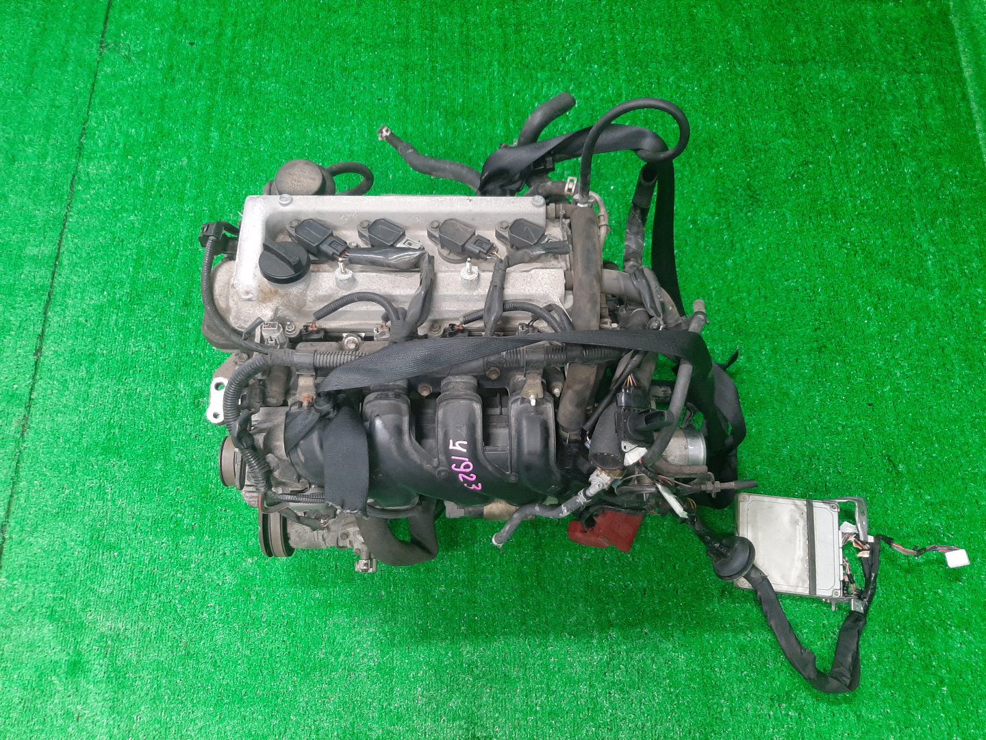 Двигатель TOYOTA PROBOX, SUCCEED NCP51V, NCP58G 1NZ-FE MEX 1 ракурс Двигатель TOYOTA PROBOX, SUCCEED NCP51V, NCP58G 1NZ-FE MEX 1 ракурс