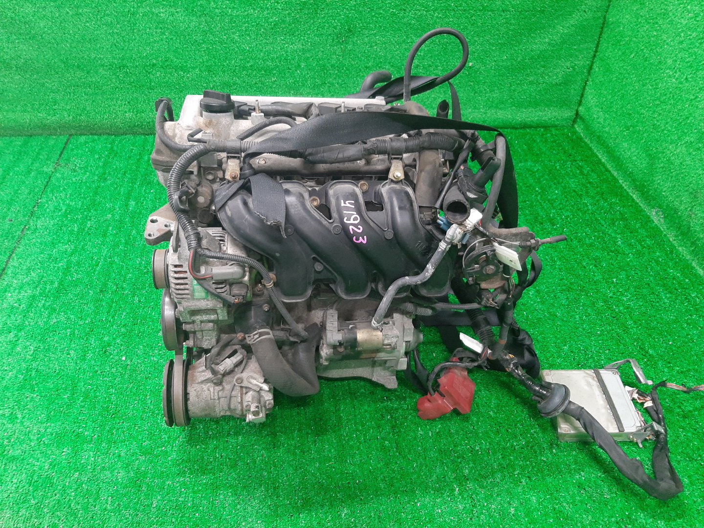 Двигатель TOYOTA PROBOX, SUCCEED NCP51V, NCP58G 1NZ-FE MEX 4 ракурс Двигатель TOYOTA PROBOX, SUCCEED NCP51V, NCP58G 1NZ-FE MEX 4 ракурс