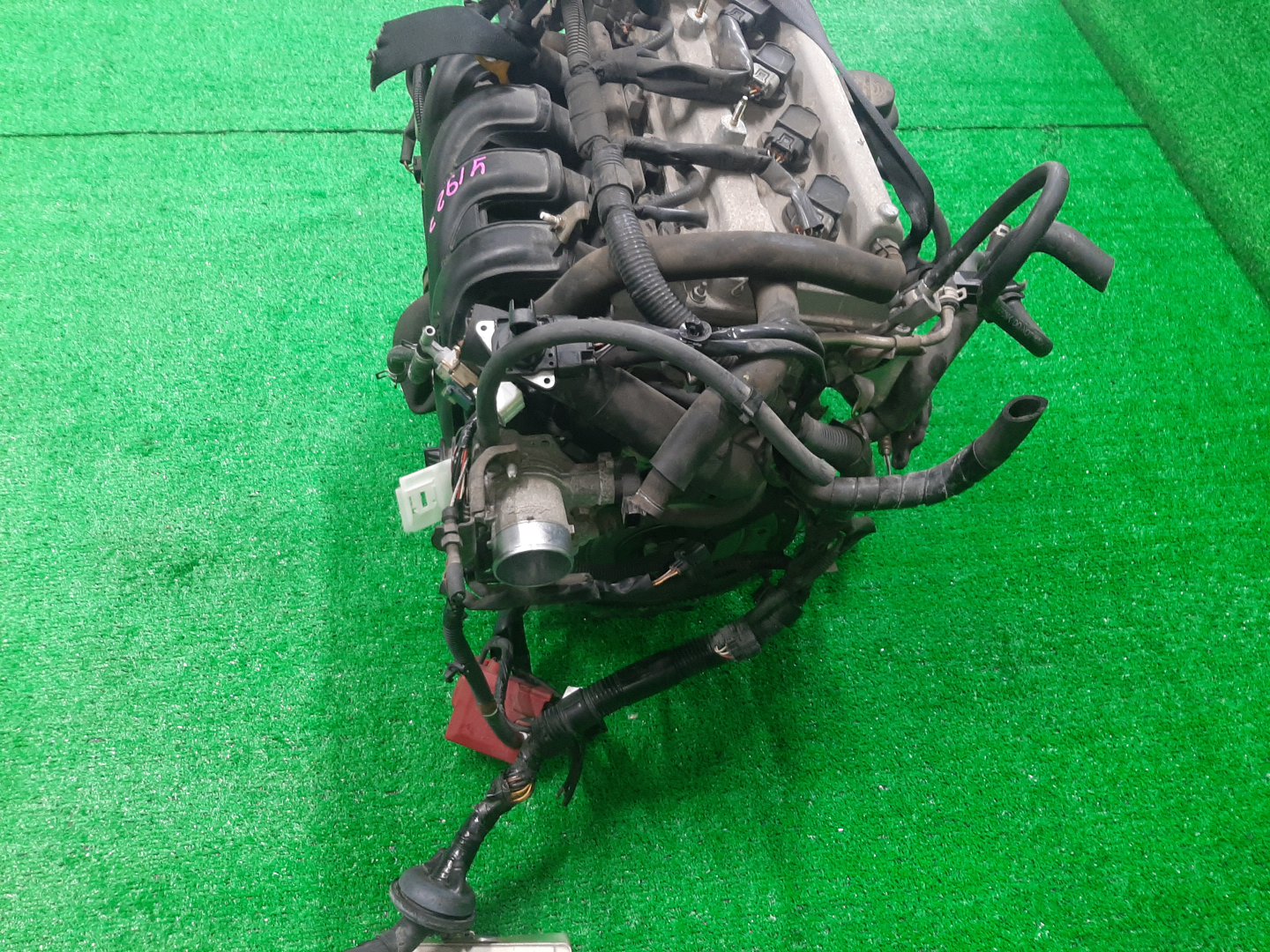 Двигатель TOYOTA PROBOX, SUCCEED NCP51V, NCP58G 1NZ-FE MEX 5 ракурс Двигатель TOYOTA PROBOX, SUCCEED NCP51V, NCP58G 1NZ-FE MEX 5 ракурс